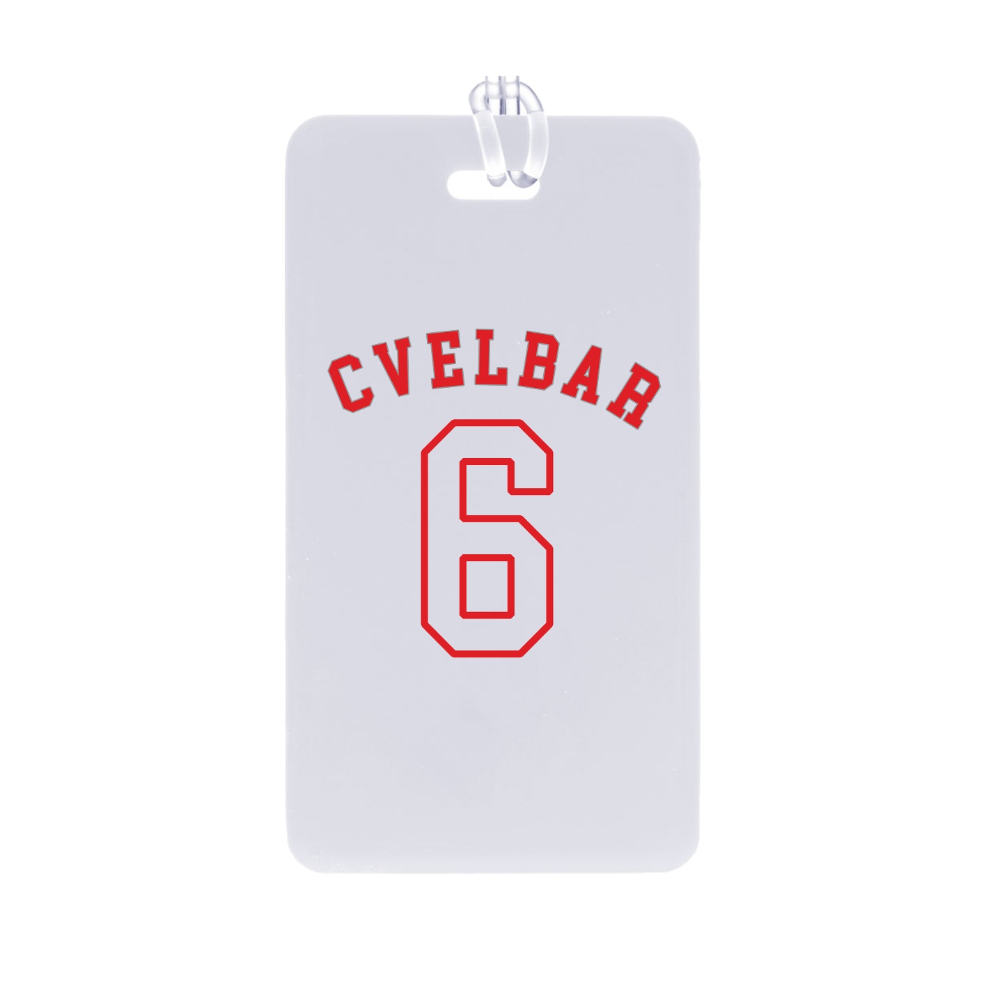 Bag Tag — Shirsey Arch in Classic