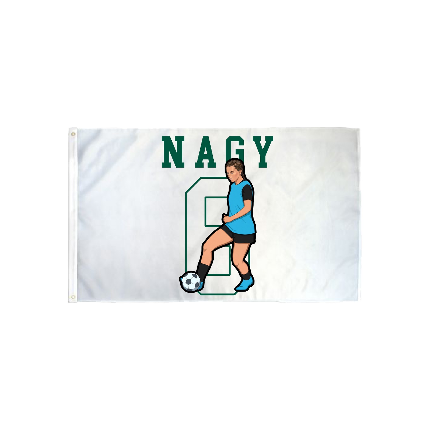 3x5 Flag — Shirsey in Classic