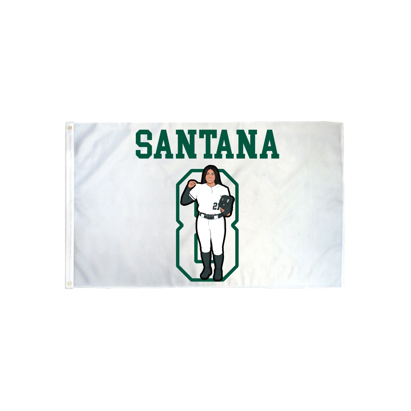 3x5 Flag — Shirsey in Classic