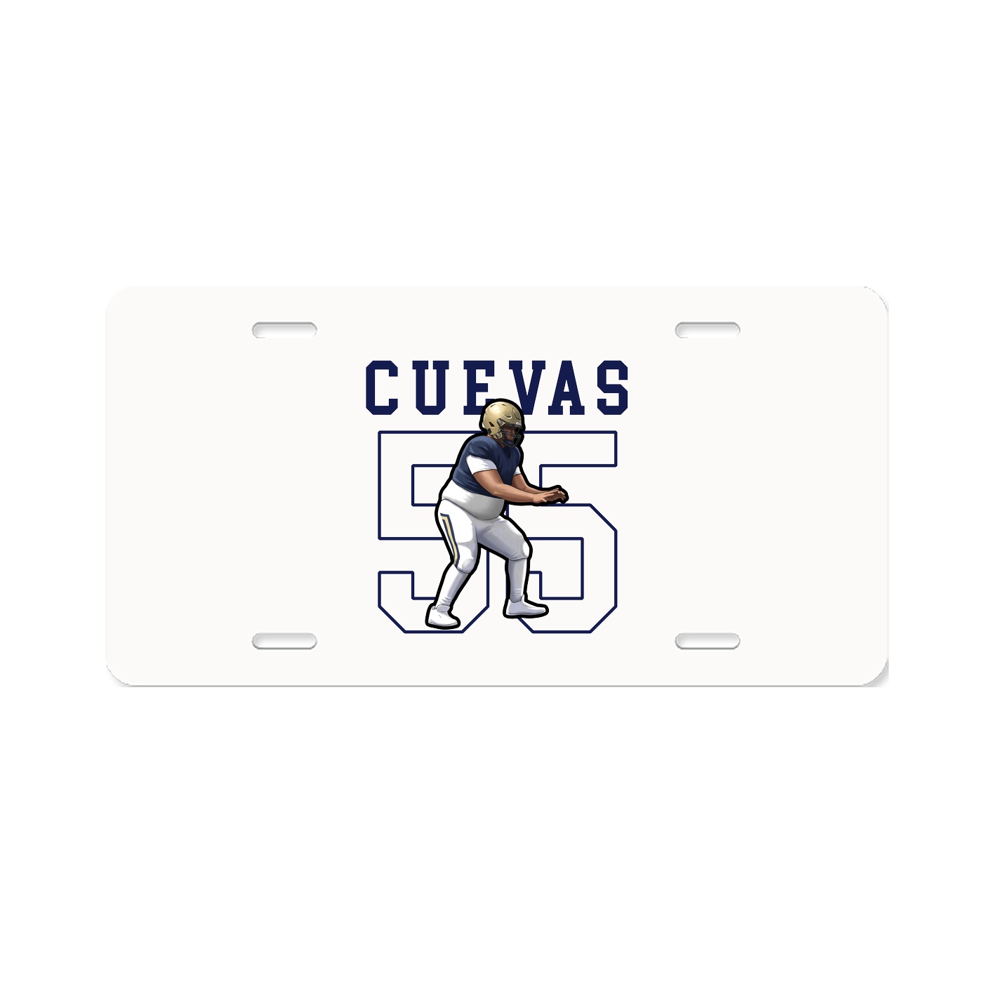Aluminum License Plate