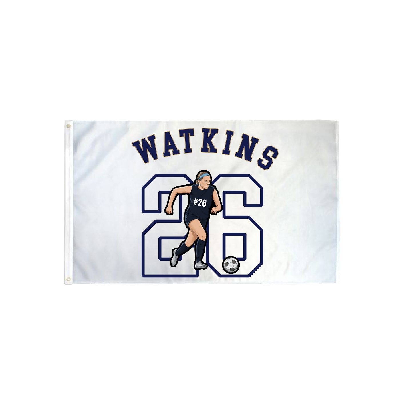 3x5 Flag — Shirsey Arch in Classic