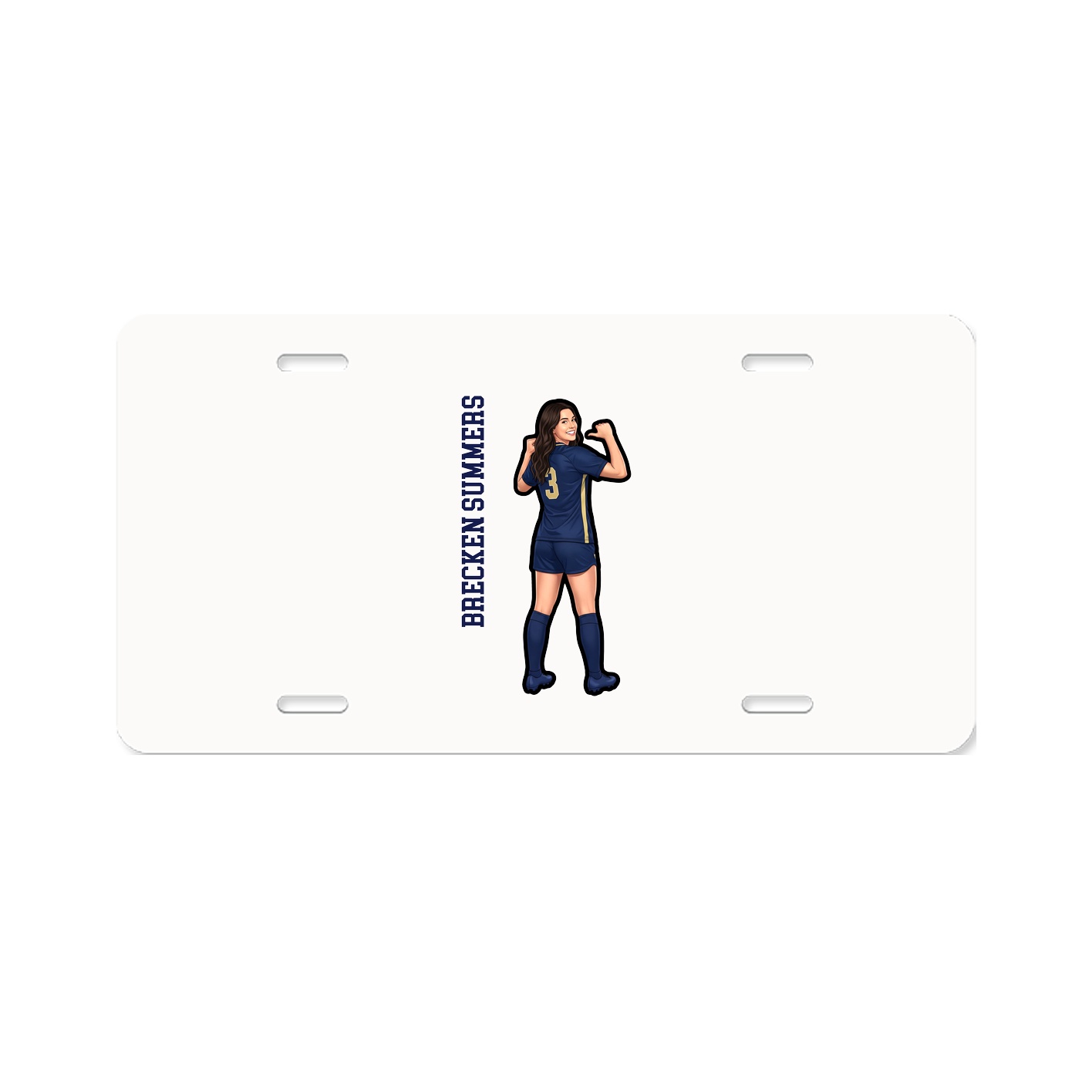 Aluminum License Plate
