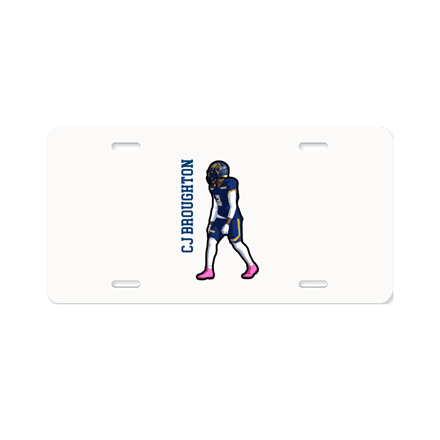 Aluminum License Plate