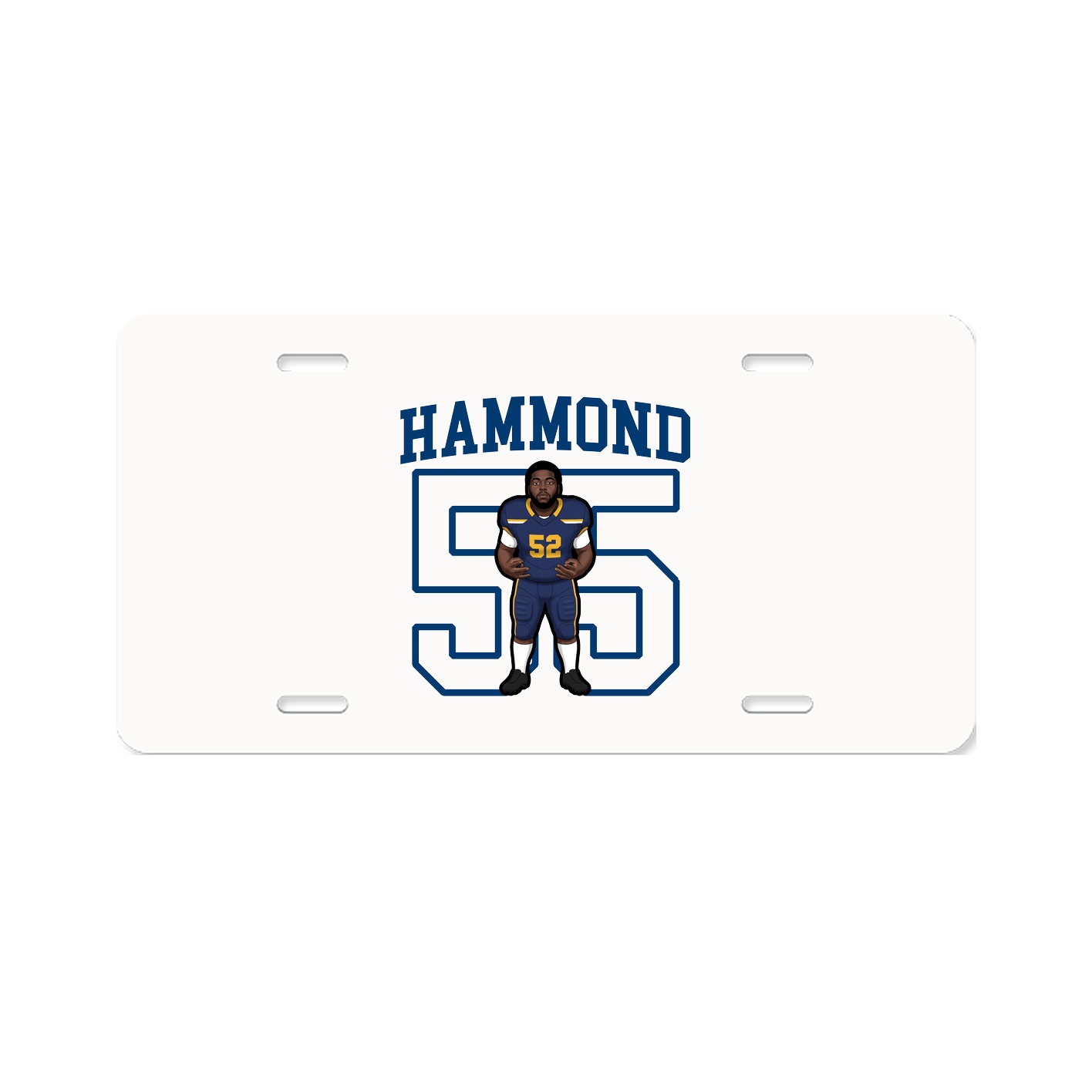 Aluminum License Plate