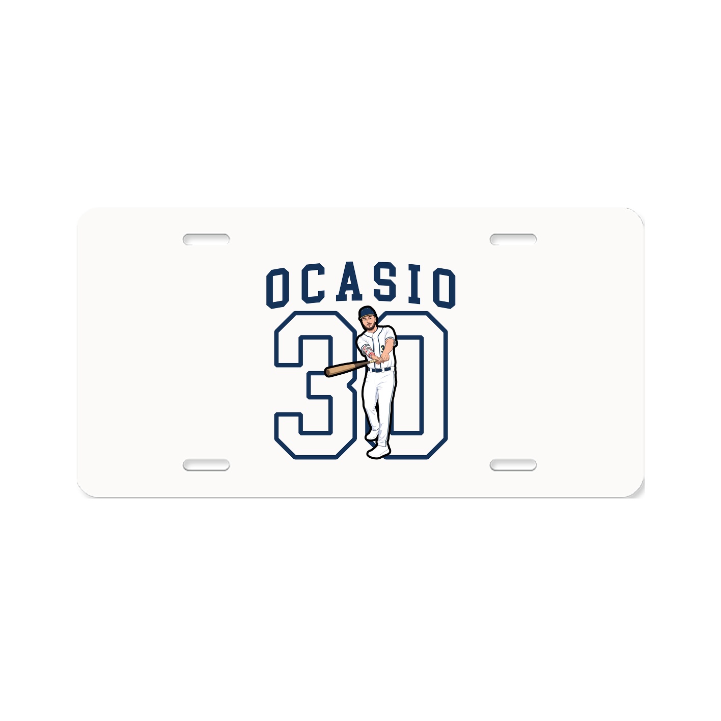 Aluminum License Plate