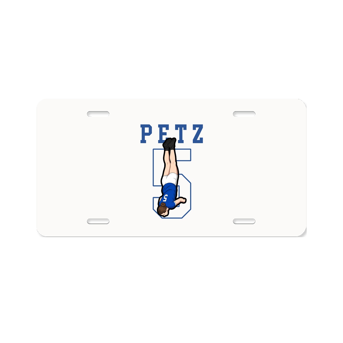 License Plate