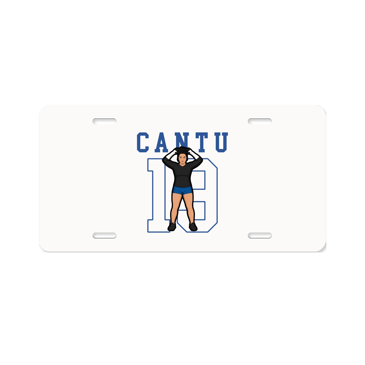 License Plate