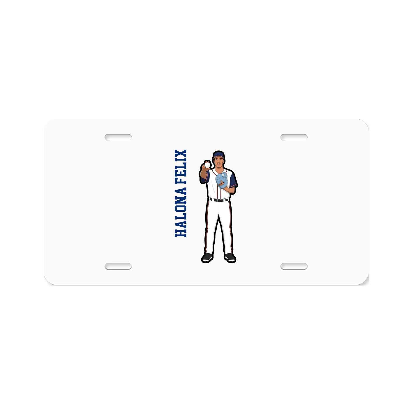 Aluminum License Plate