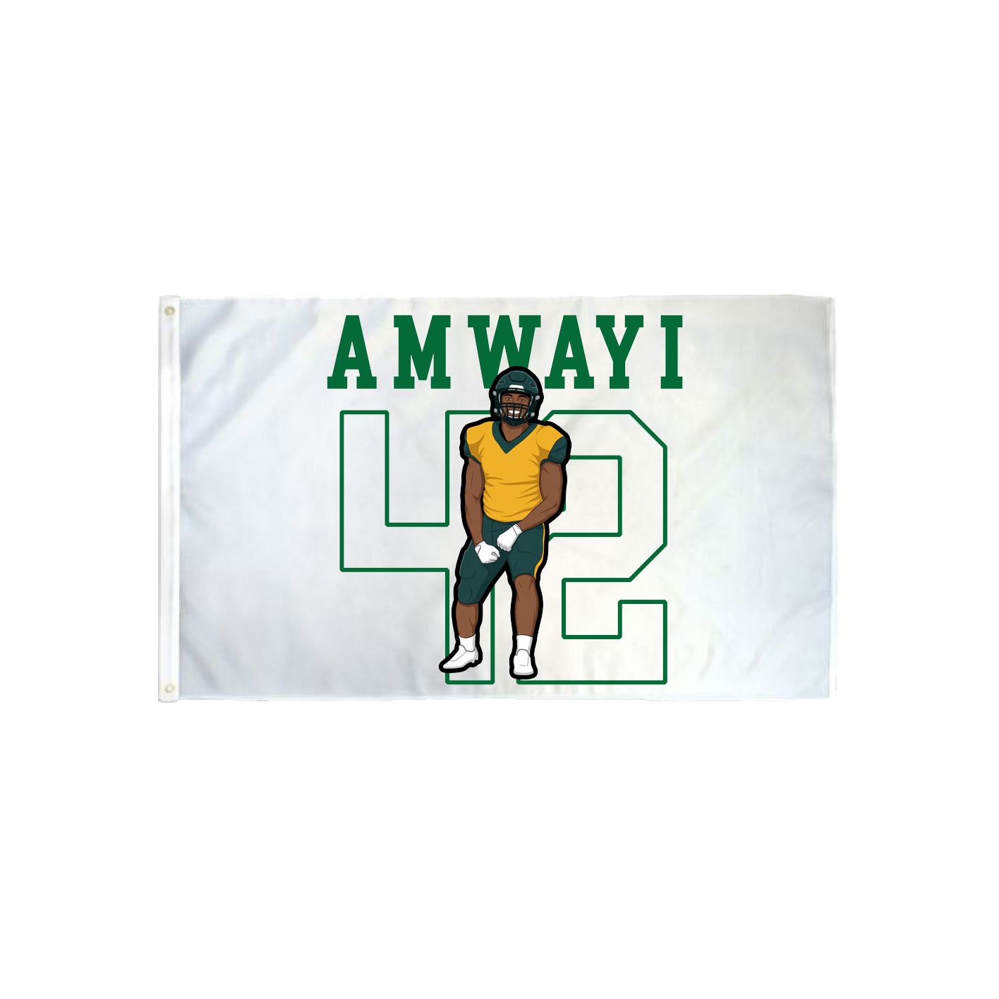 3x5 Flag — Shirsey in Classic