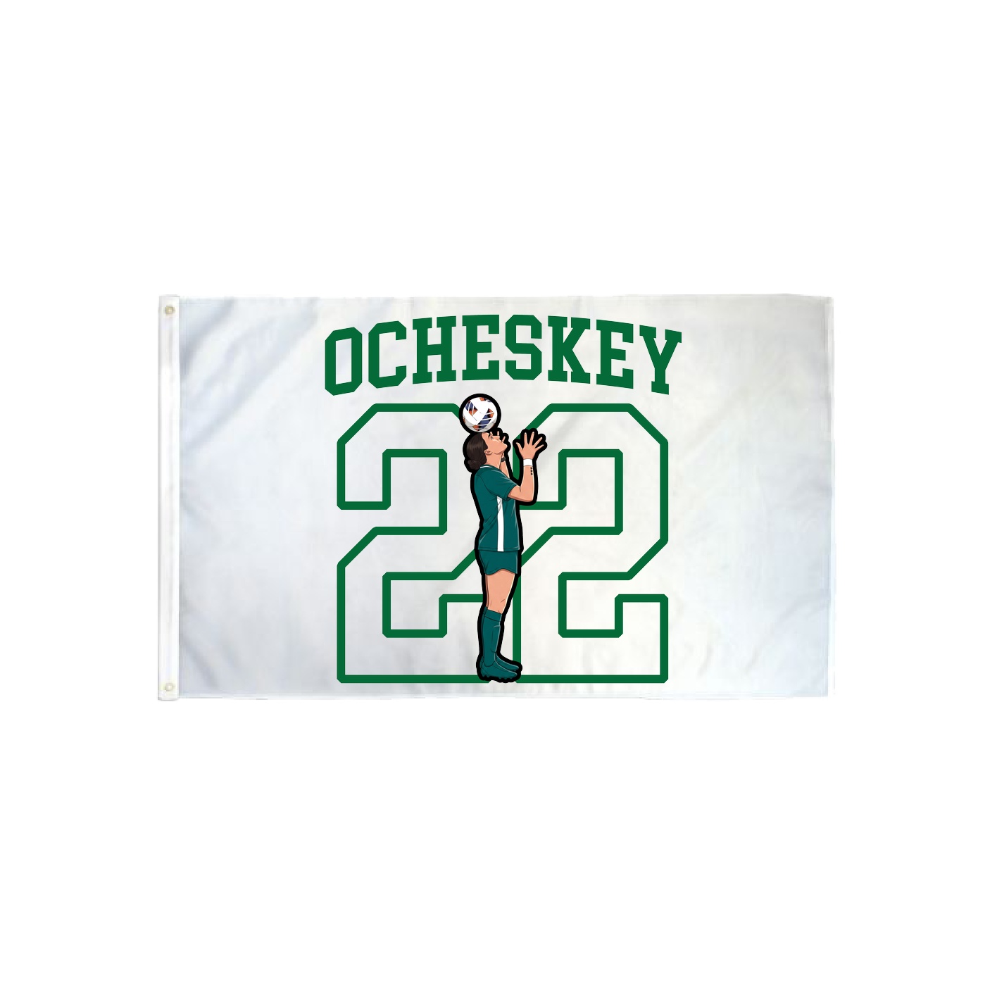 3x5 Flag — Shirsey in Classic