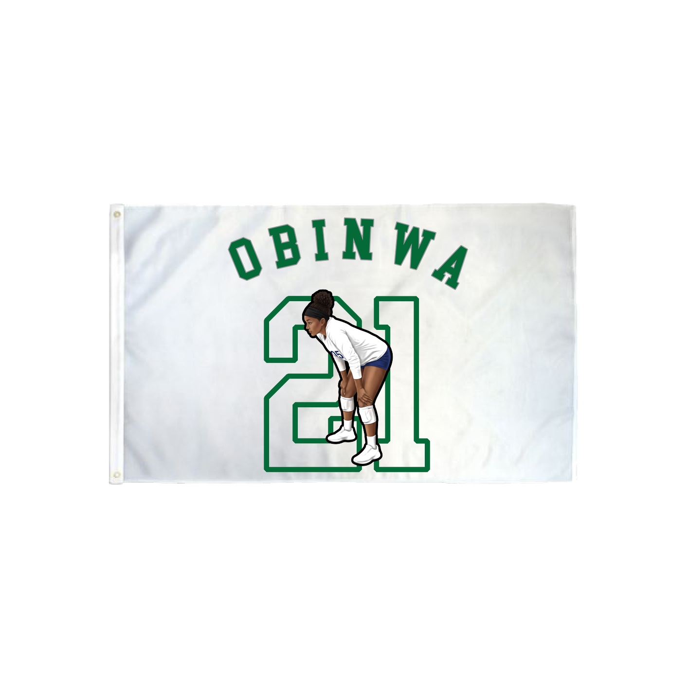 3x5 Flag — Shirsey Arch in Classic