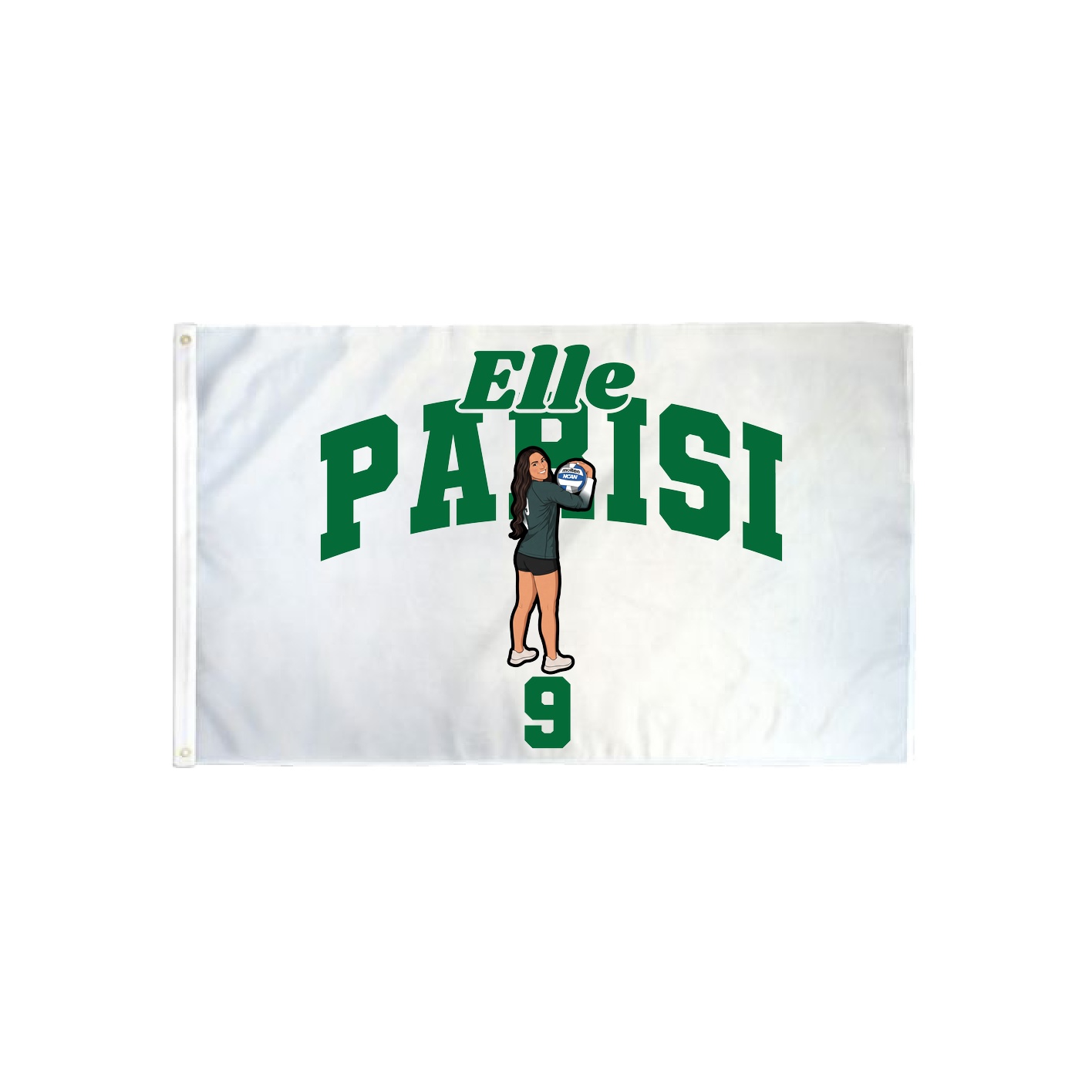3x5 Flag — Signature Arch in Classic