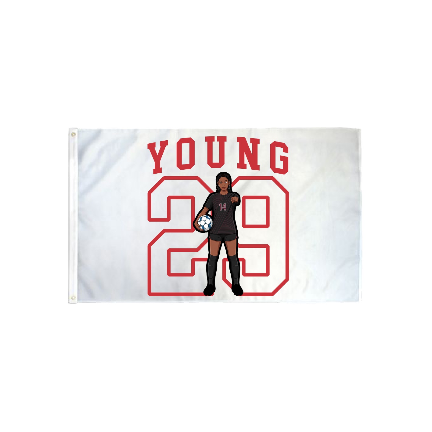 3x5 Flag — Shirsey in Classic