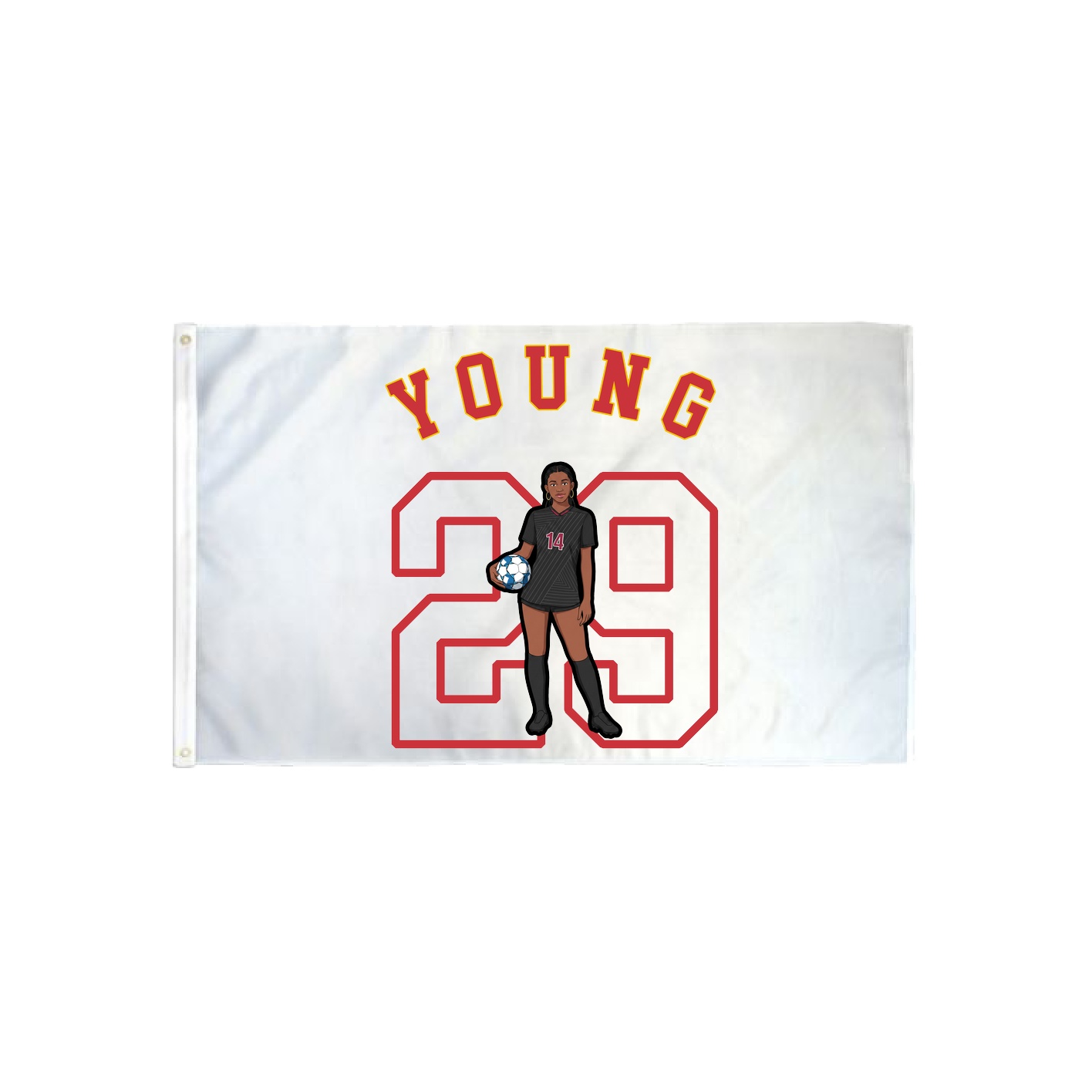 3x5 Flag — Shirsey Arch in Classic