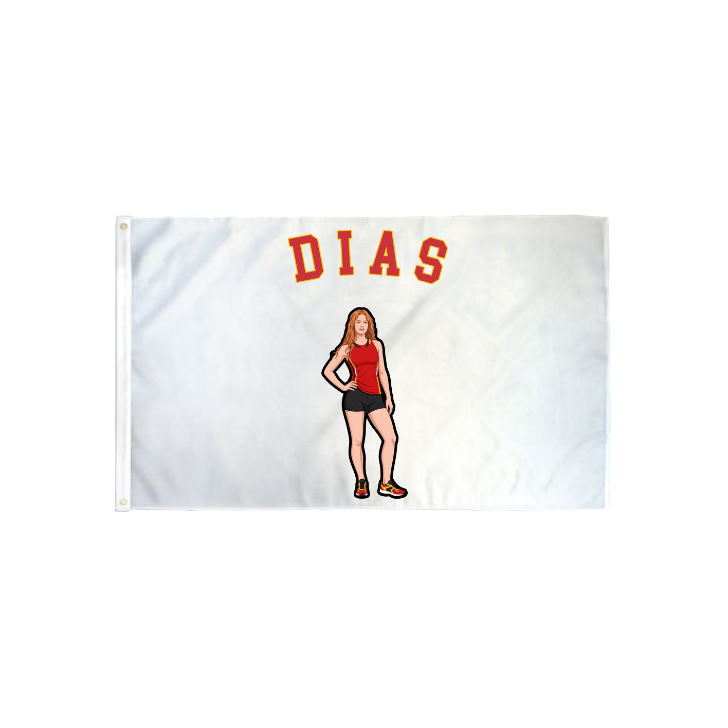3x5 Flag — Shirsey Arch in Classic