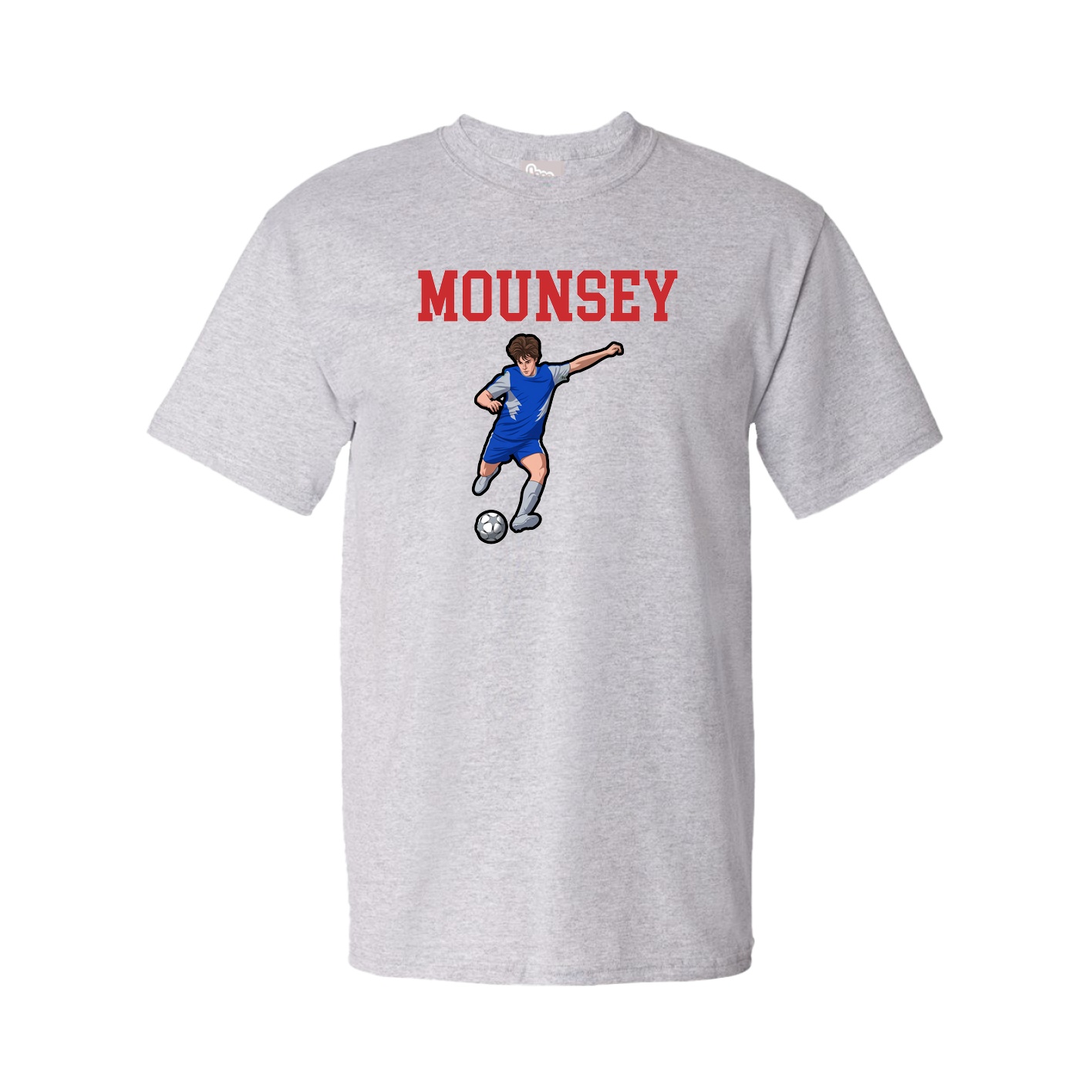Tee — Shirsey in Grey
