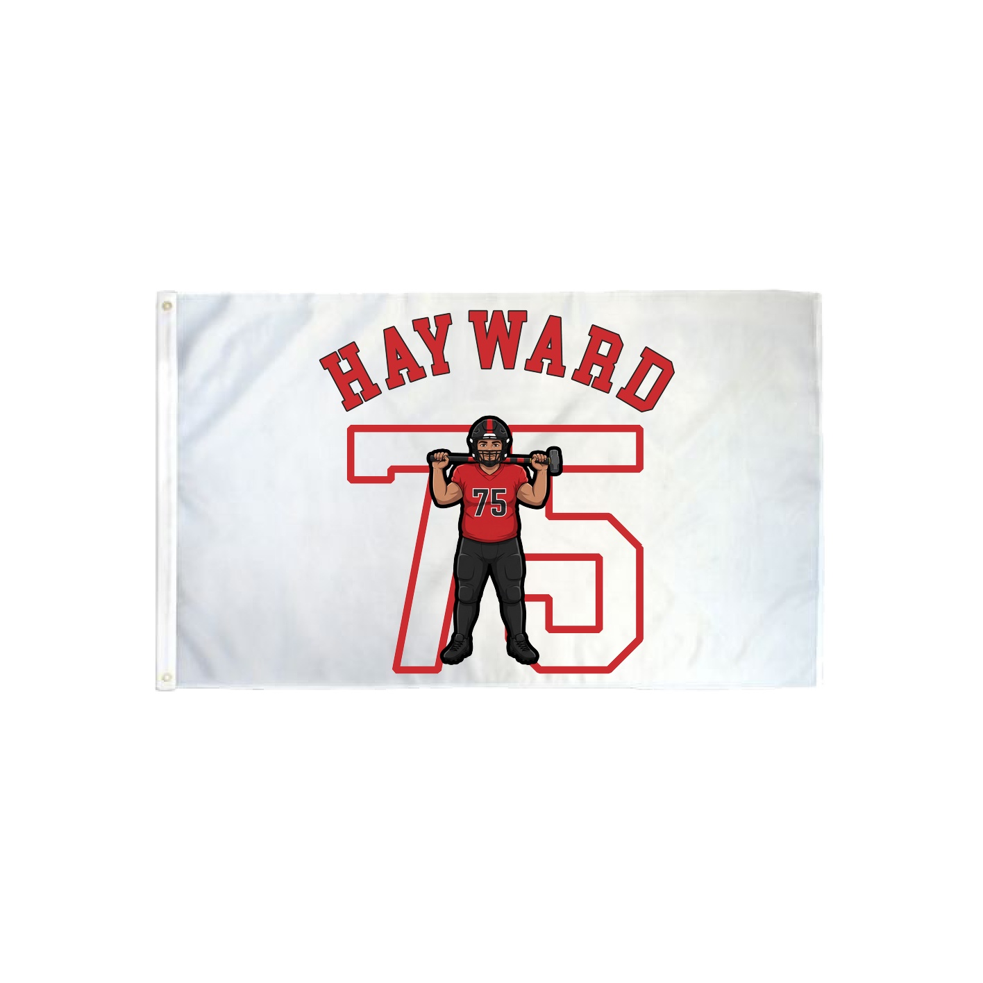 3x5 Flag — Shirsey Arch in Classic
