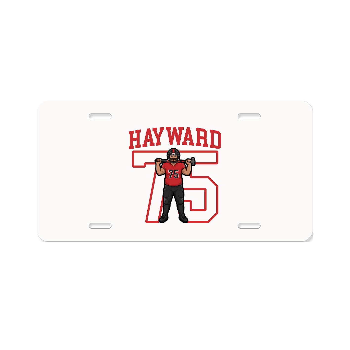 Aluminum License Plate