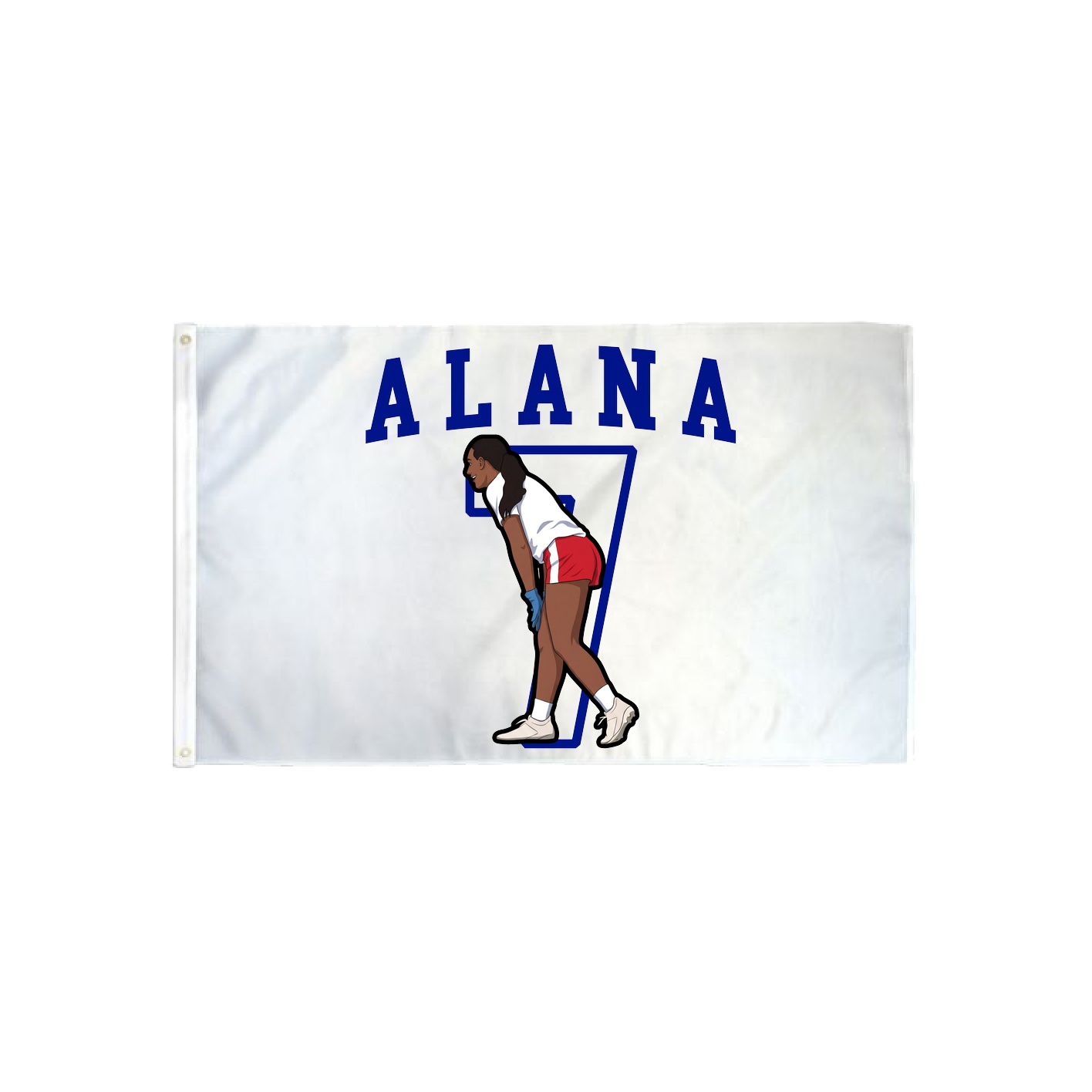 3x5 Flag — Shirsey in Classic