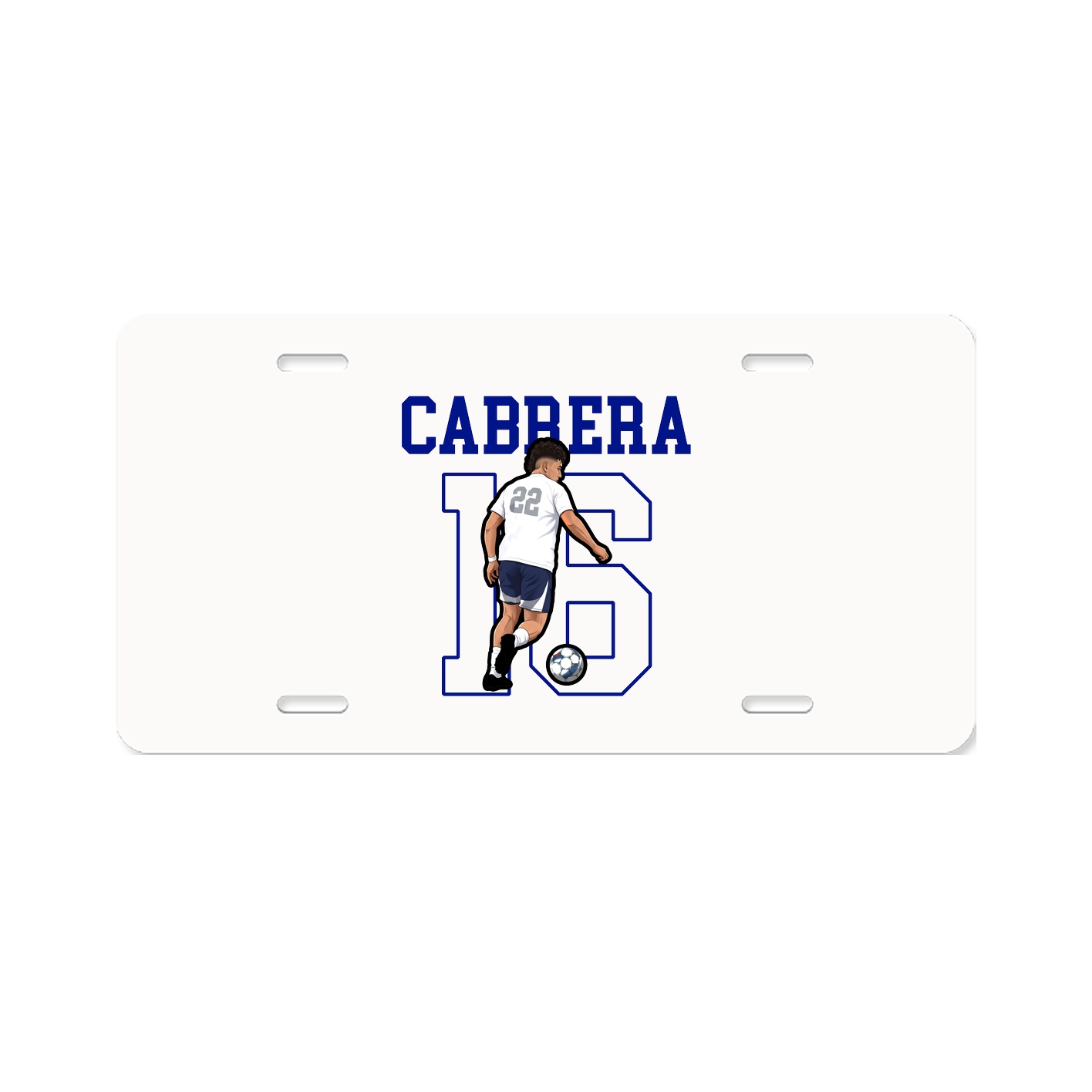 License Plate