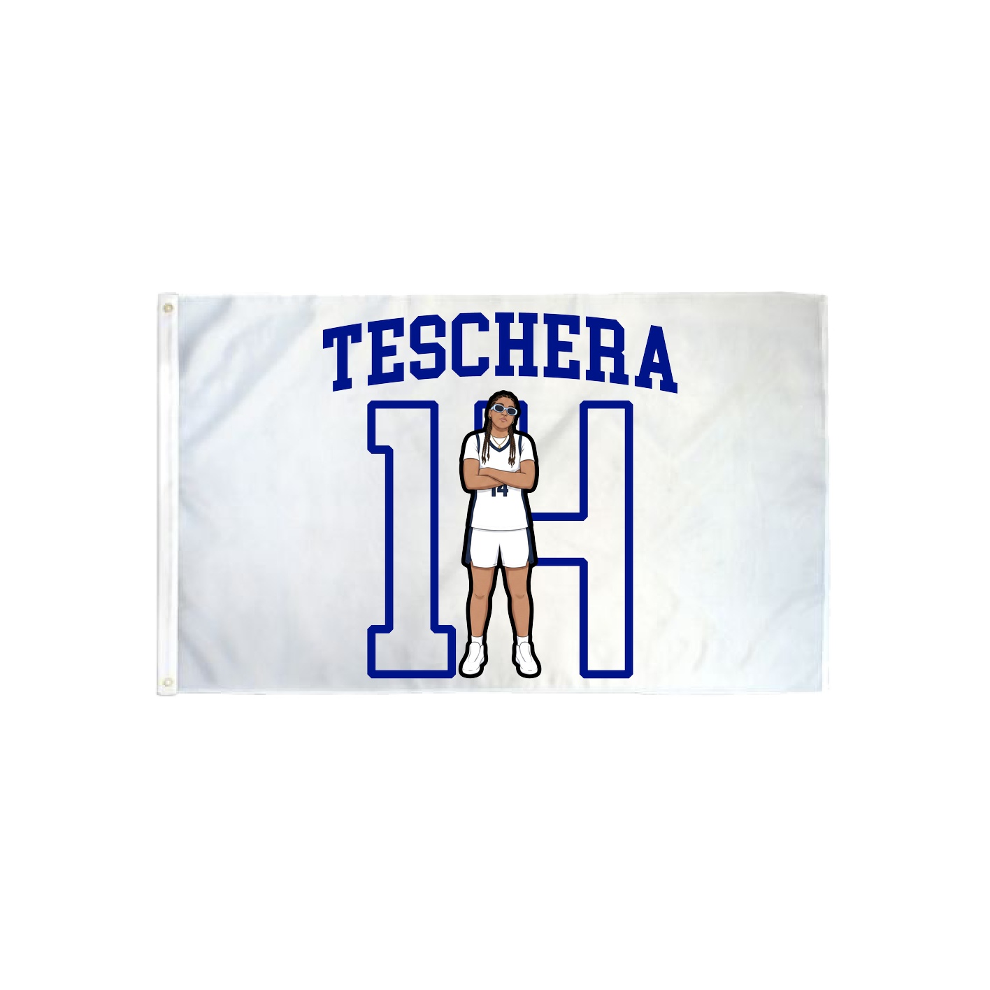 3x5 Flag — Shirsey in Classic