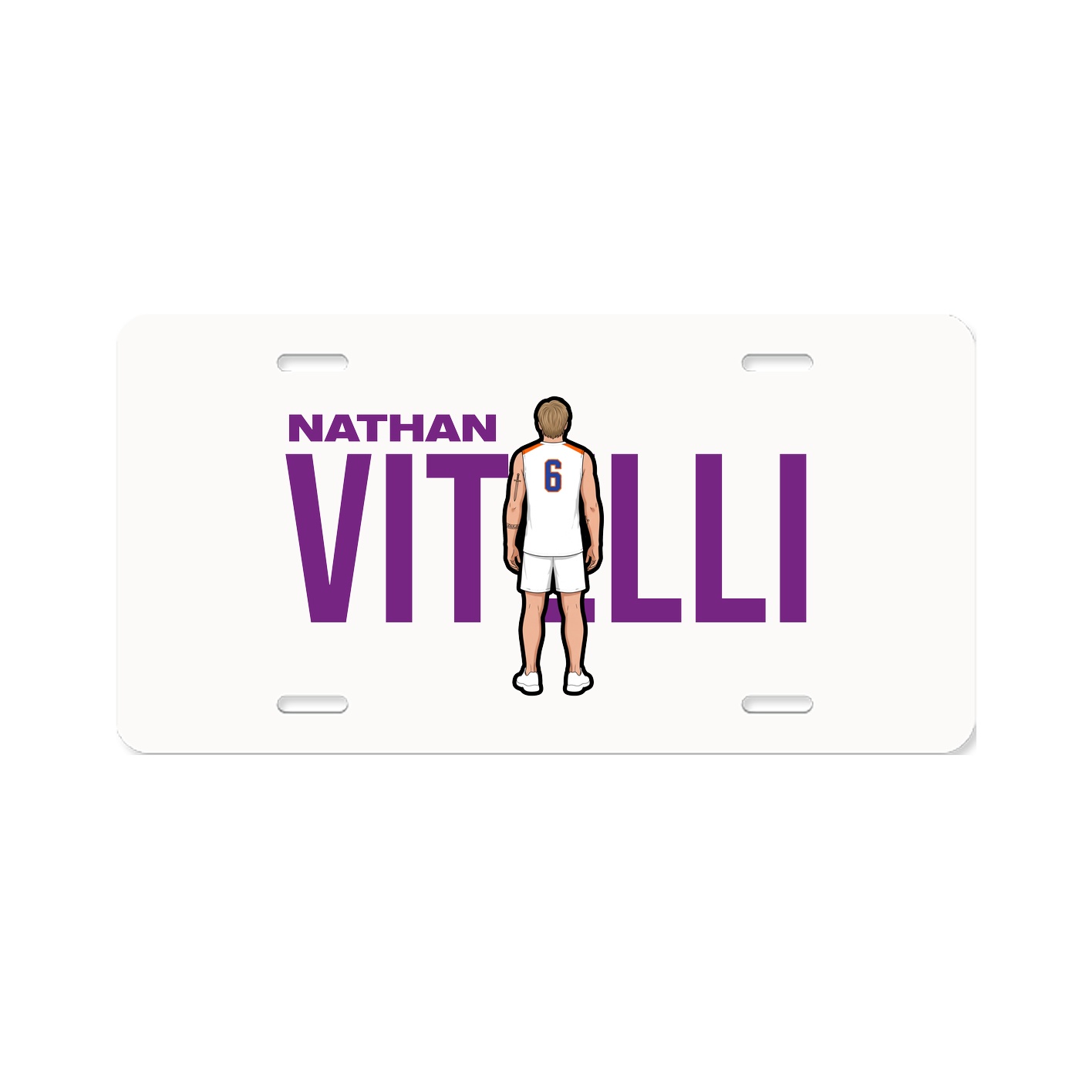 License Plate