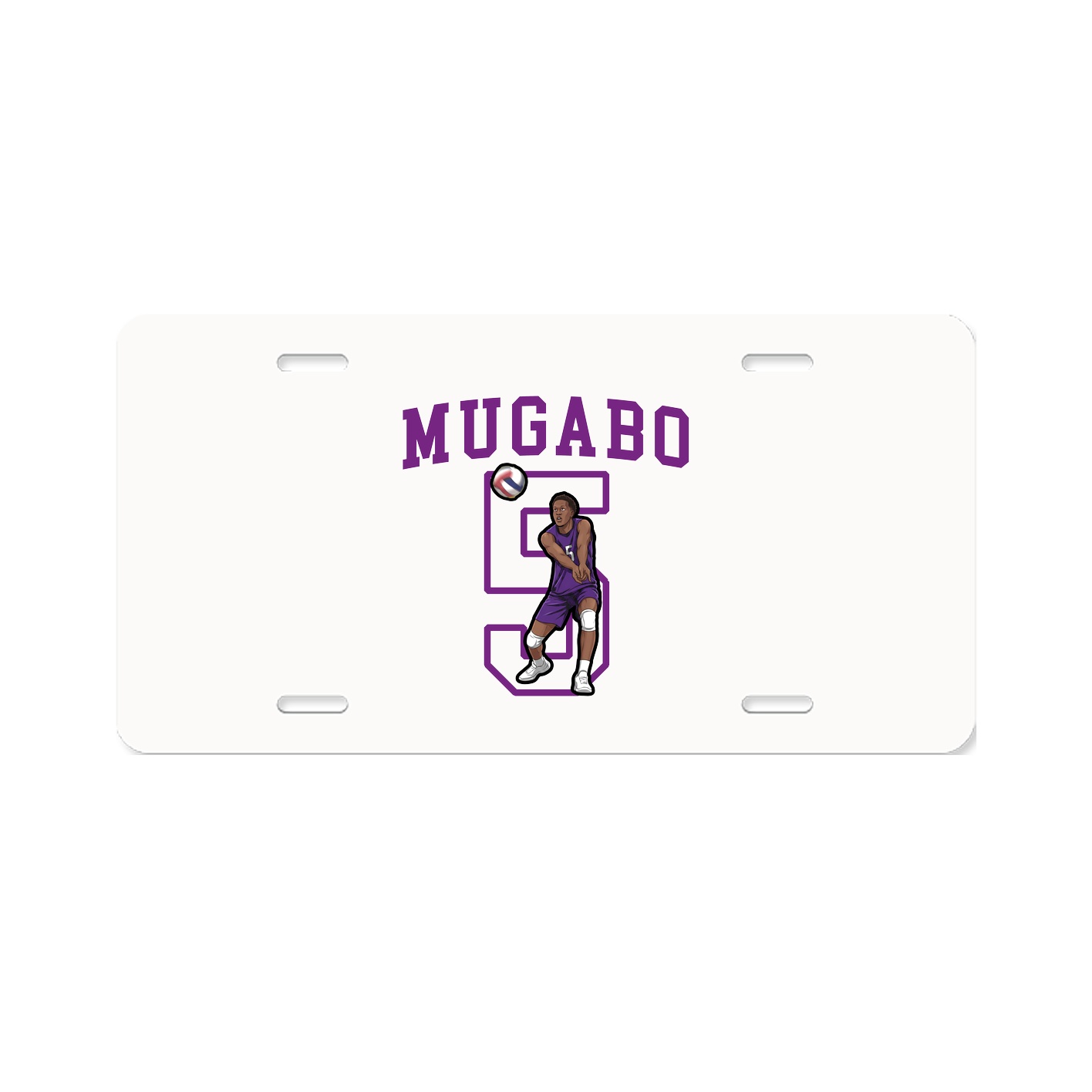 Aluminum License Plate