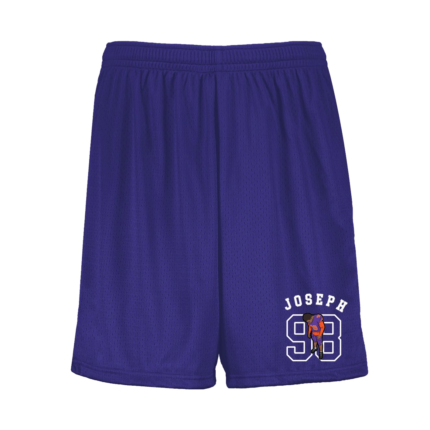 Shorts — Shirsey Arch in Purple