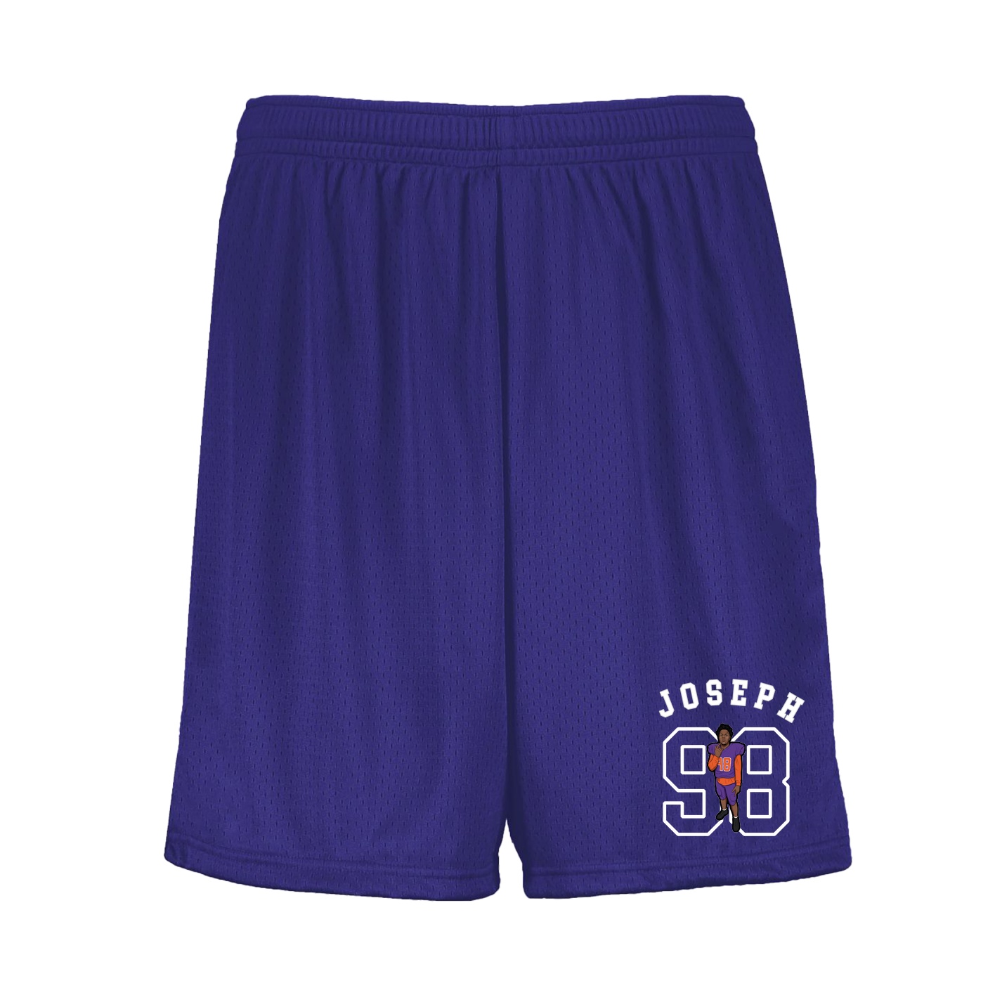Shorts — Shirsey Arch in Purple