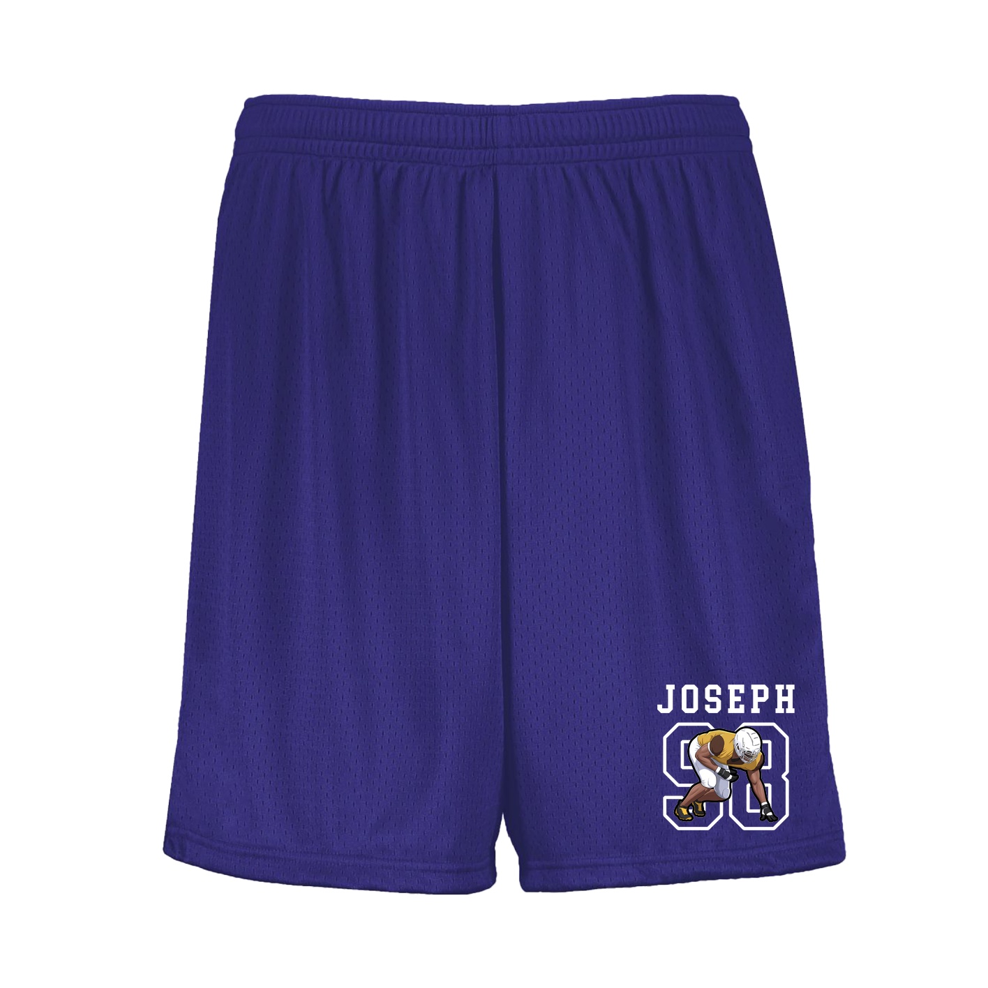 Shorts — Shirsey in Purple