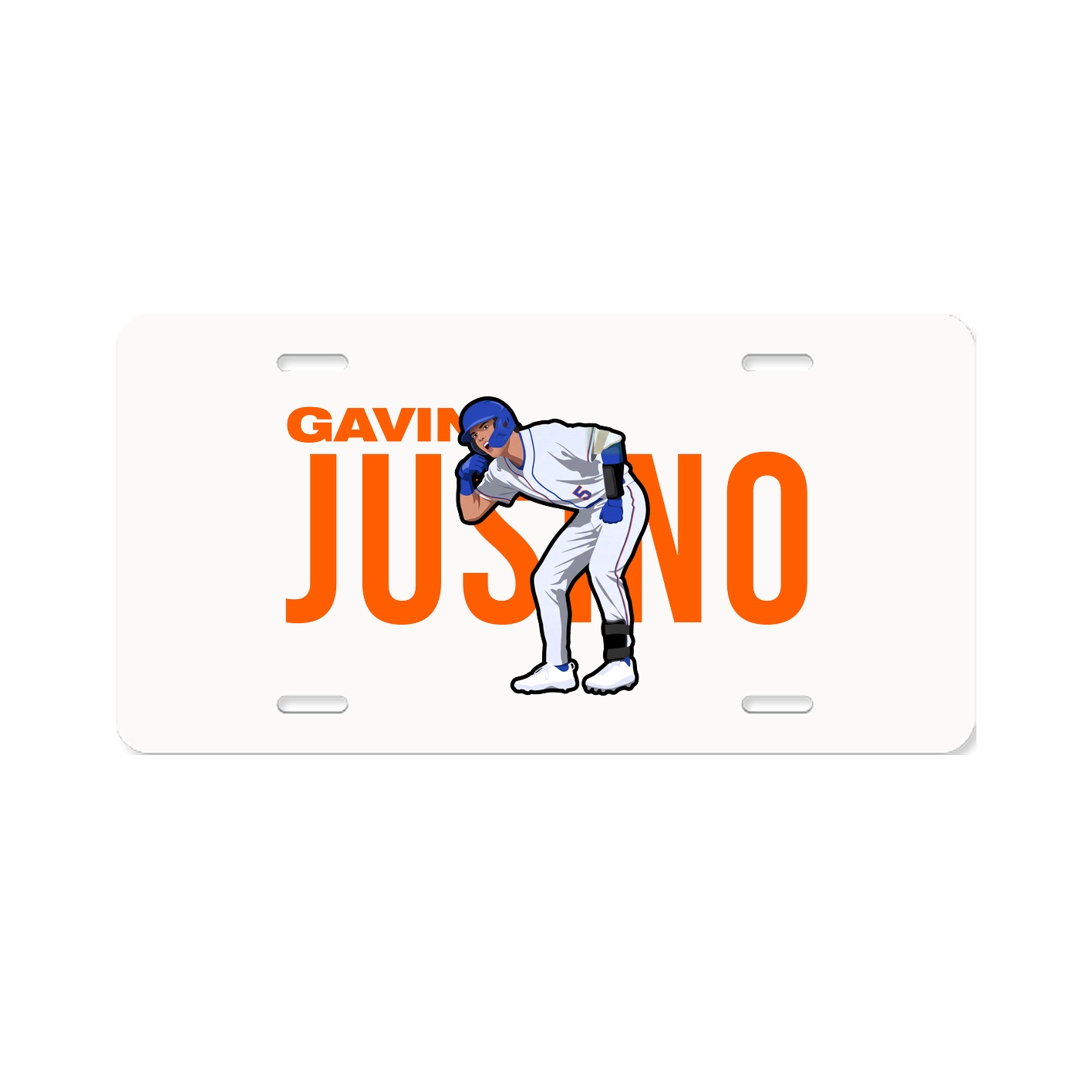 License Plate