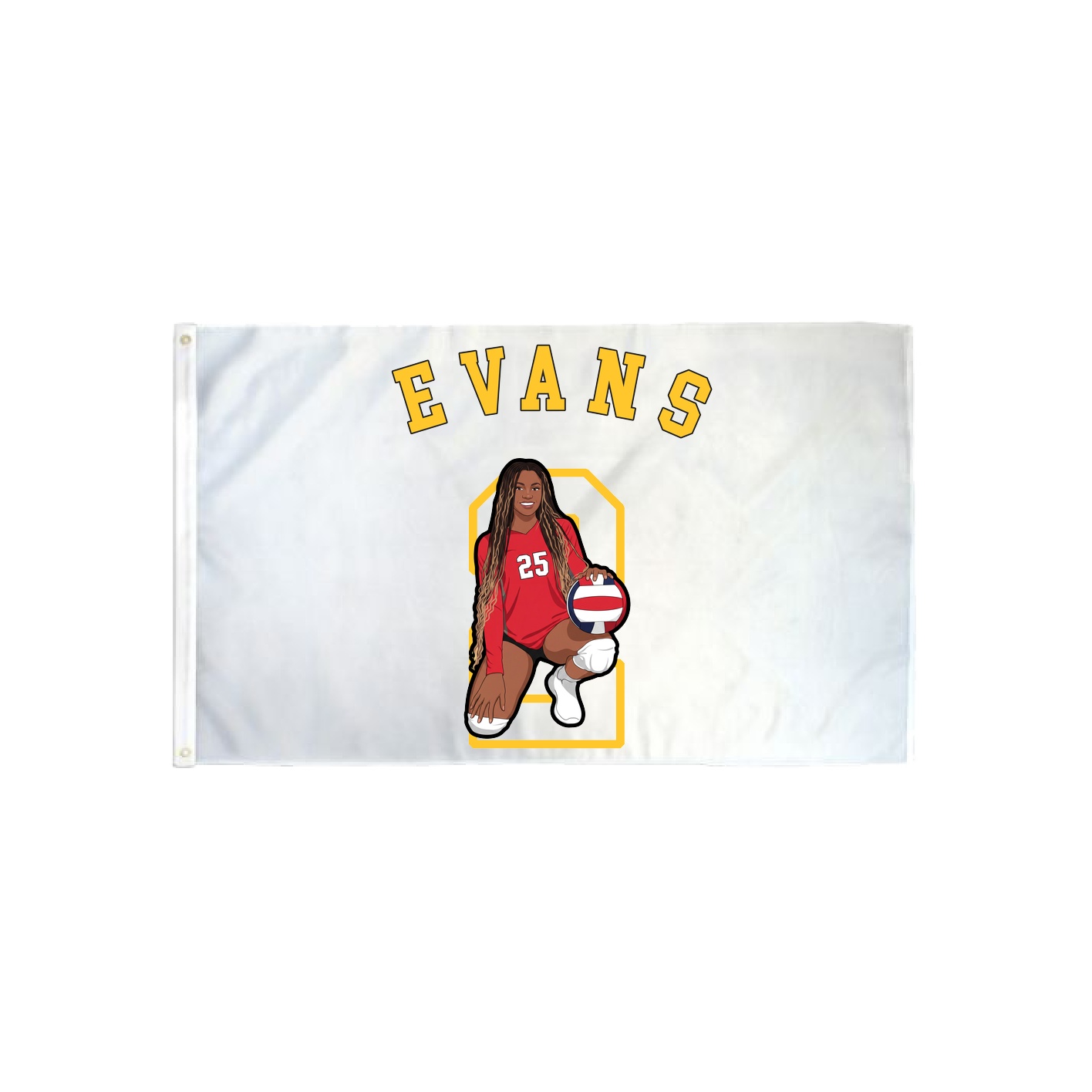3x5 Flag — Shirsey Arch in Classic