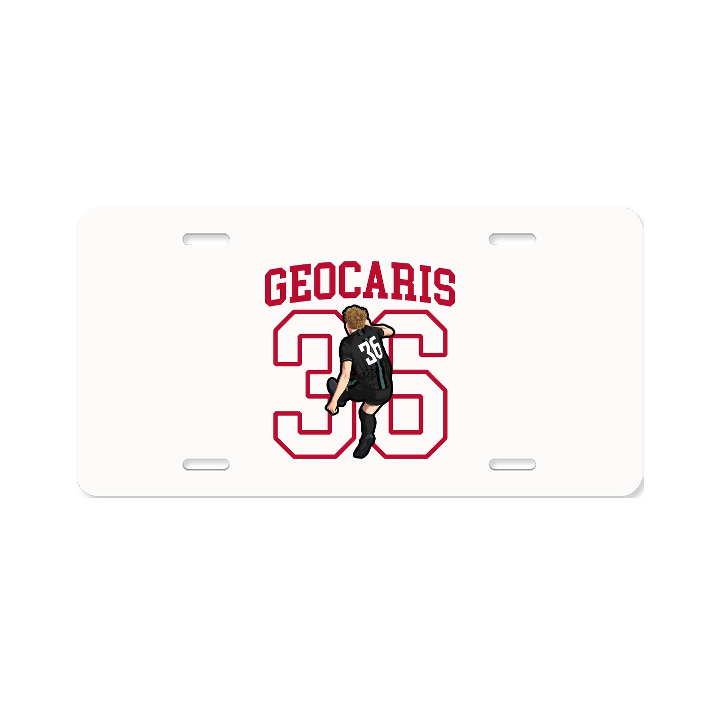 License Plate
