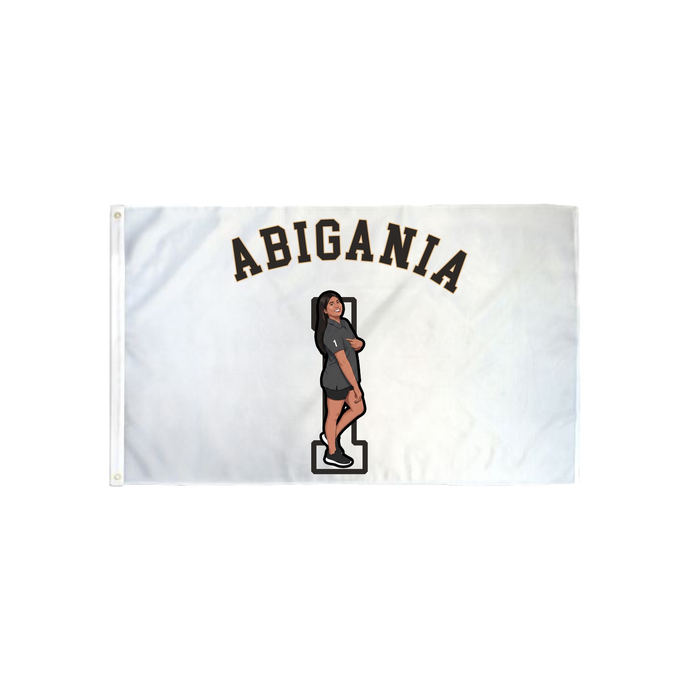 3x5 Flag — Shirsey Arch in Classic