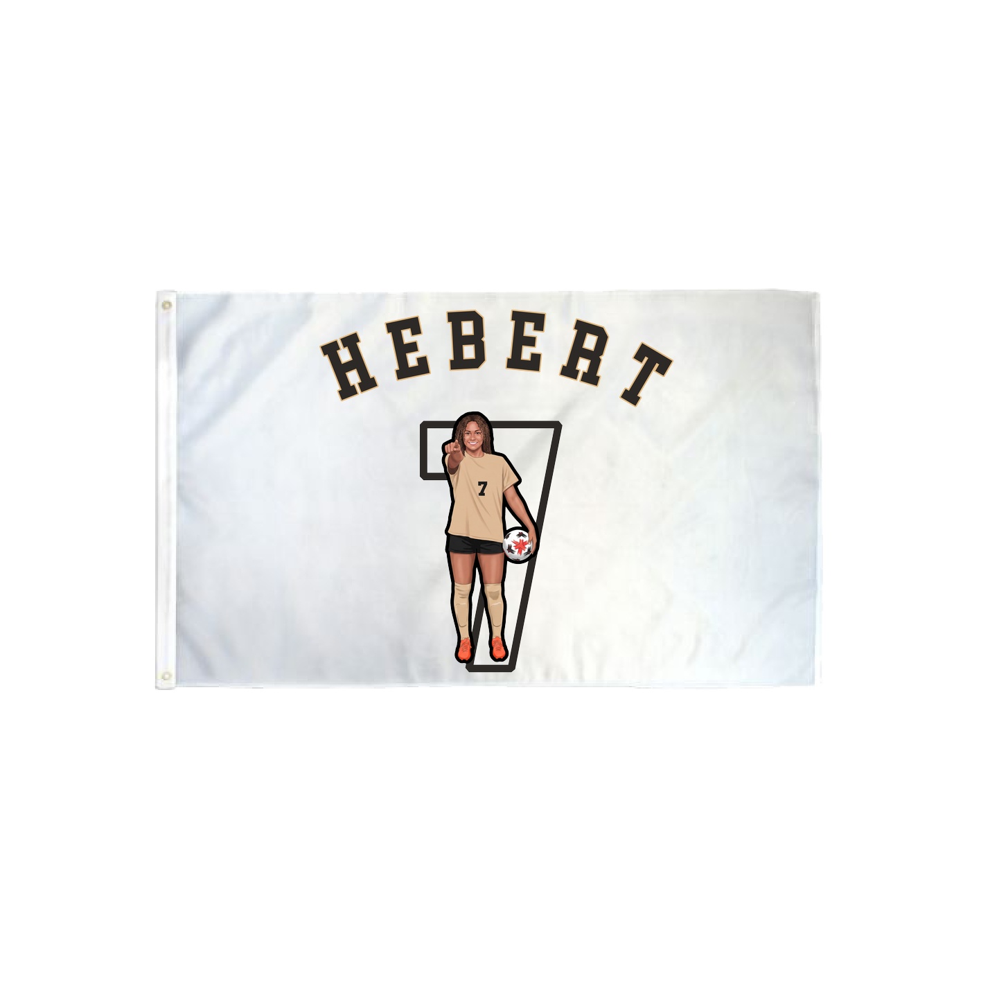 3x5 Flag — Shirsey Arch in Classic