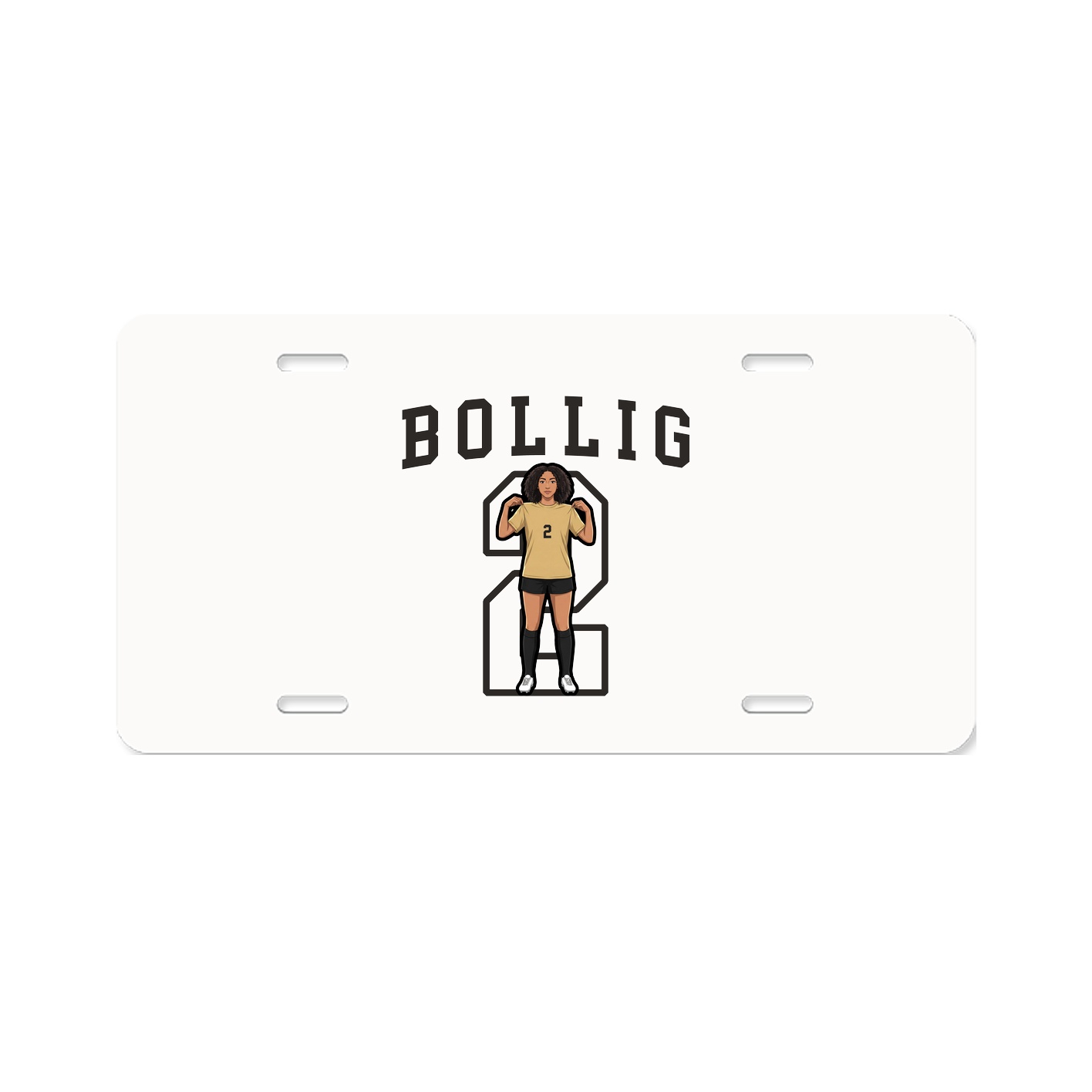 Aluminum License Plate