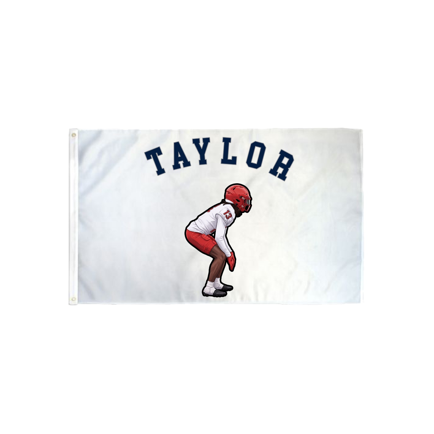 3x5 Flag — Shirsey Arch in Classic