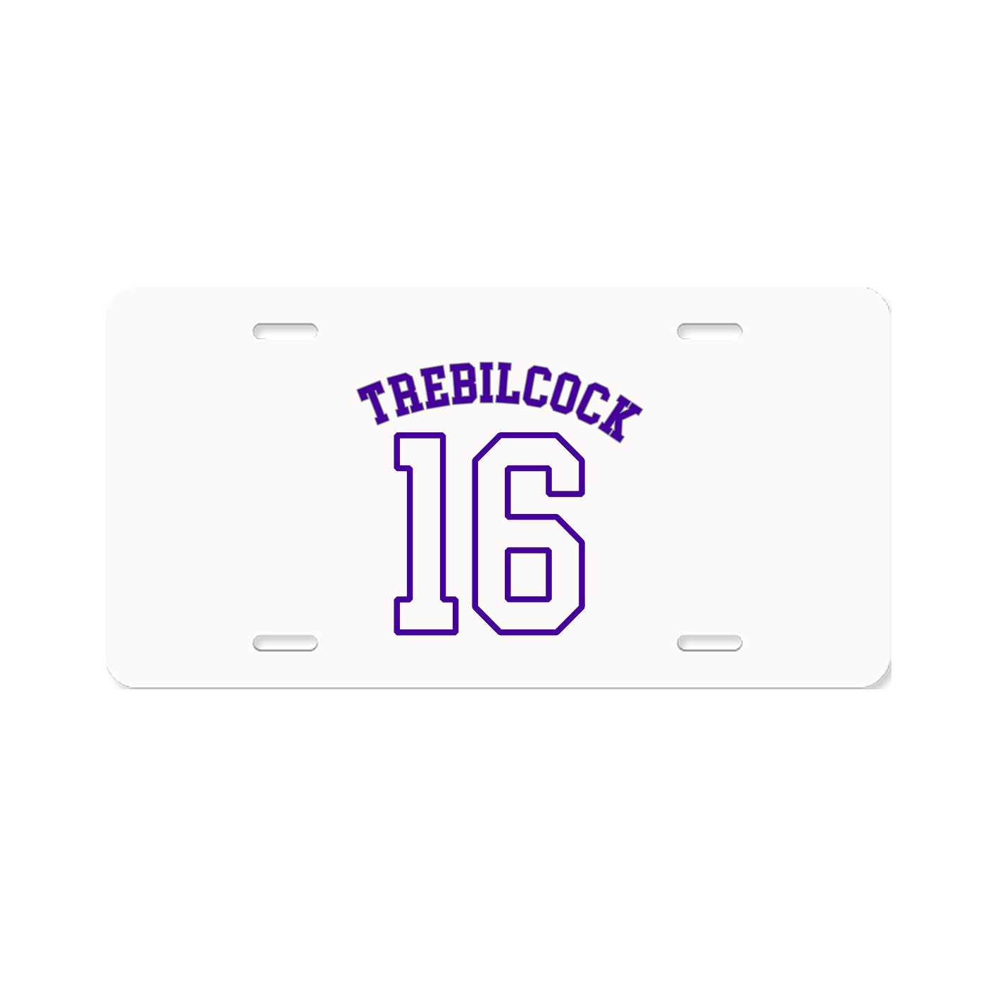 License Plate