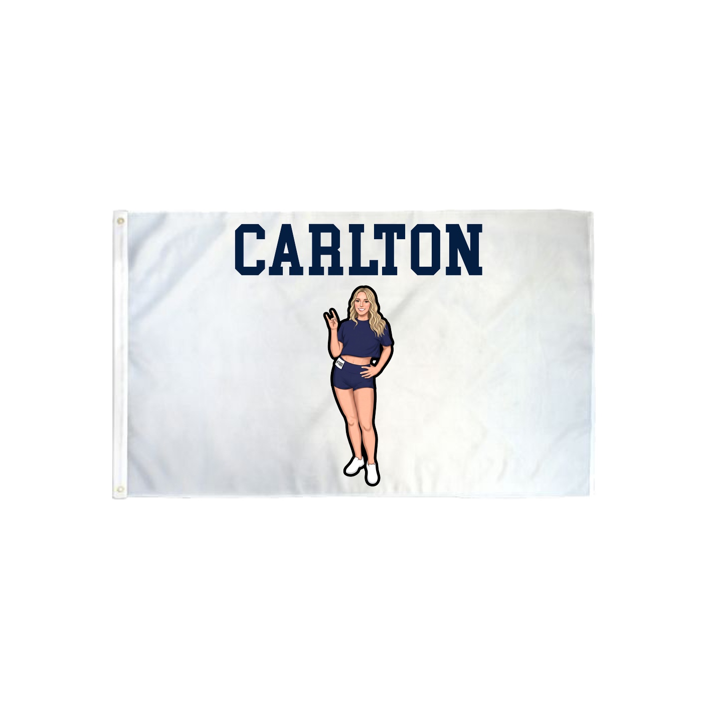 3x5 Flag — Shirsey in Classic
