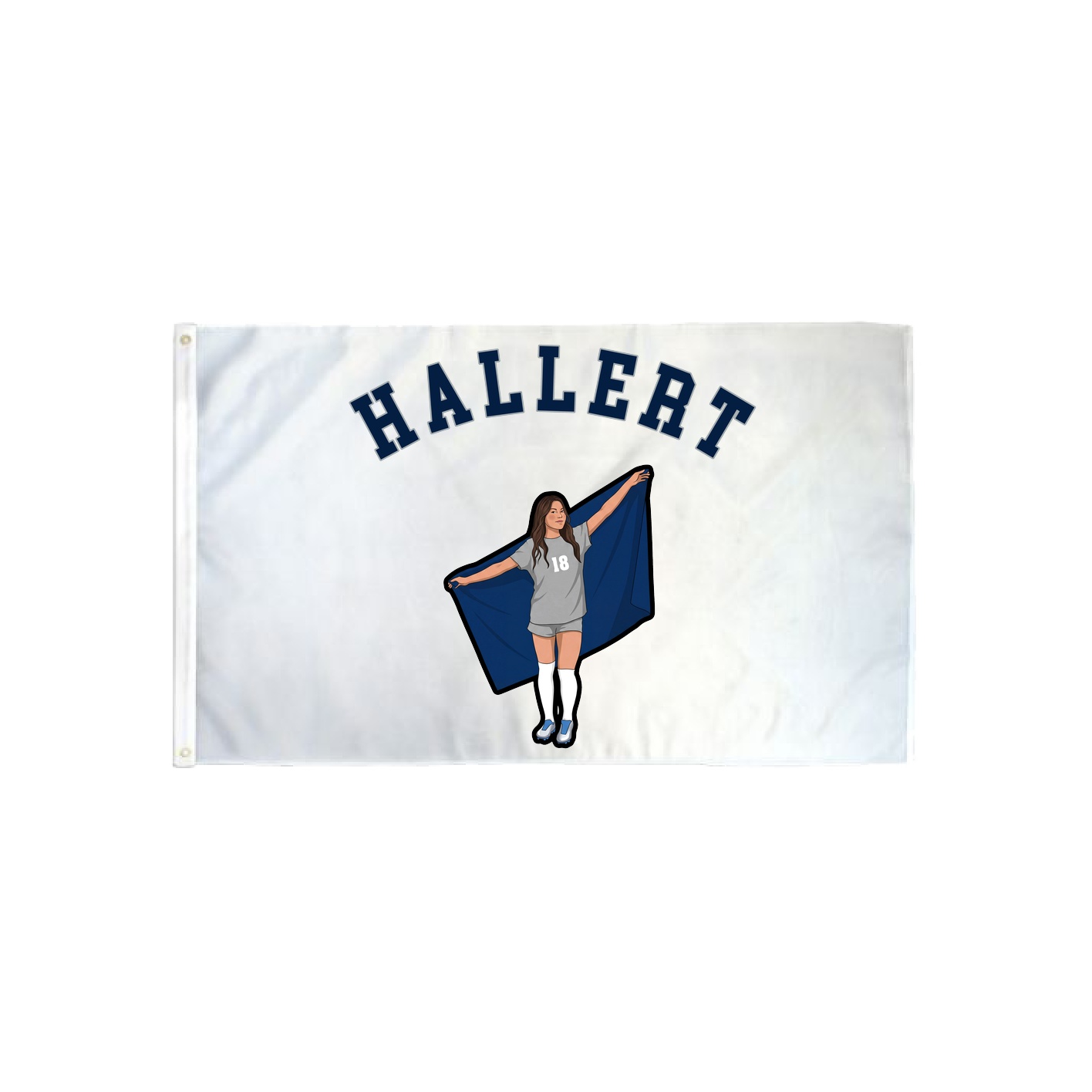 3x5 Flag — Shirsey Arch in Classic