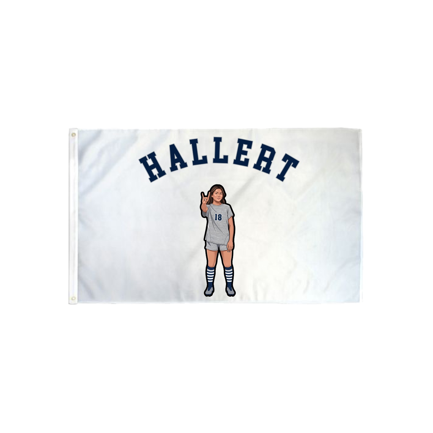 3x5 Flag — Shirsey Arch in Classic