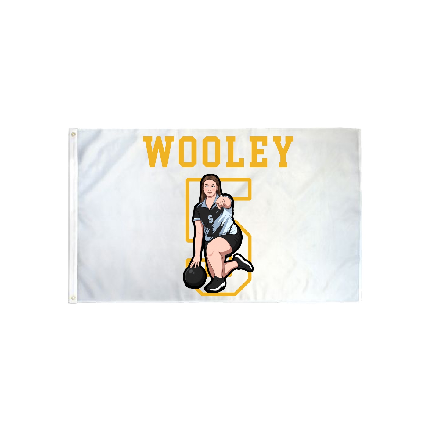 3x5 Flag — Shirsey in Classic