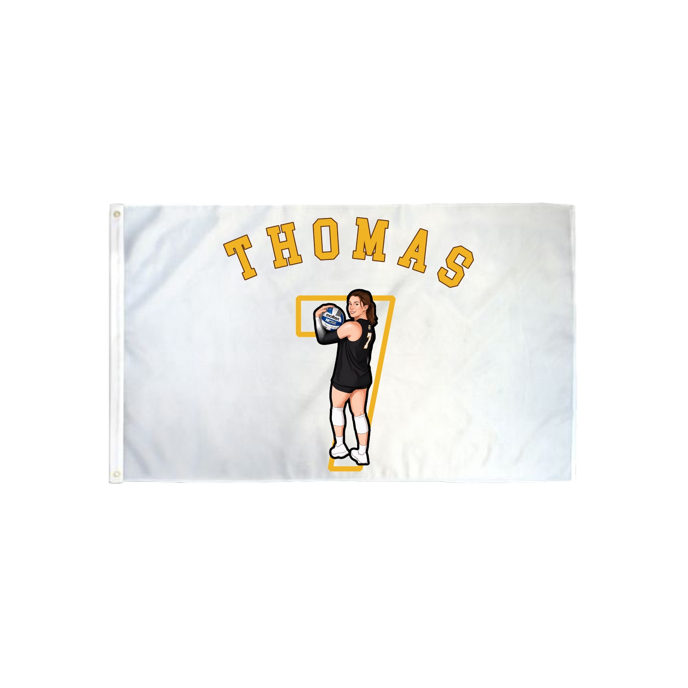 3x5 Flag — Shirsey Arch in Classic