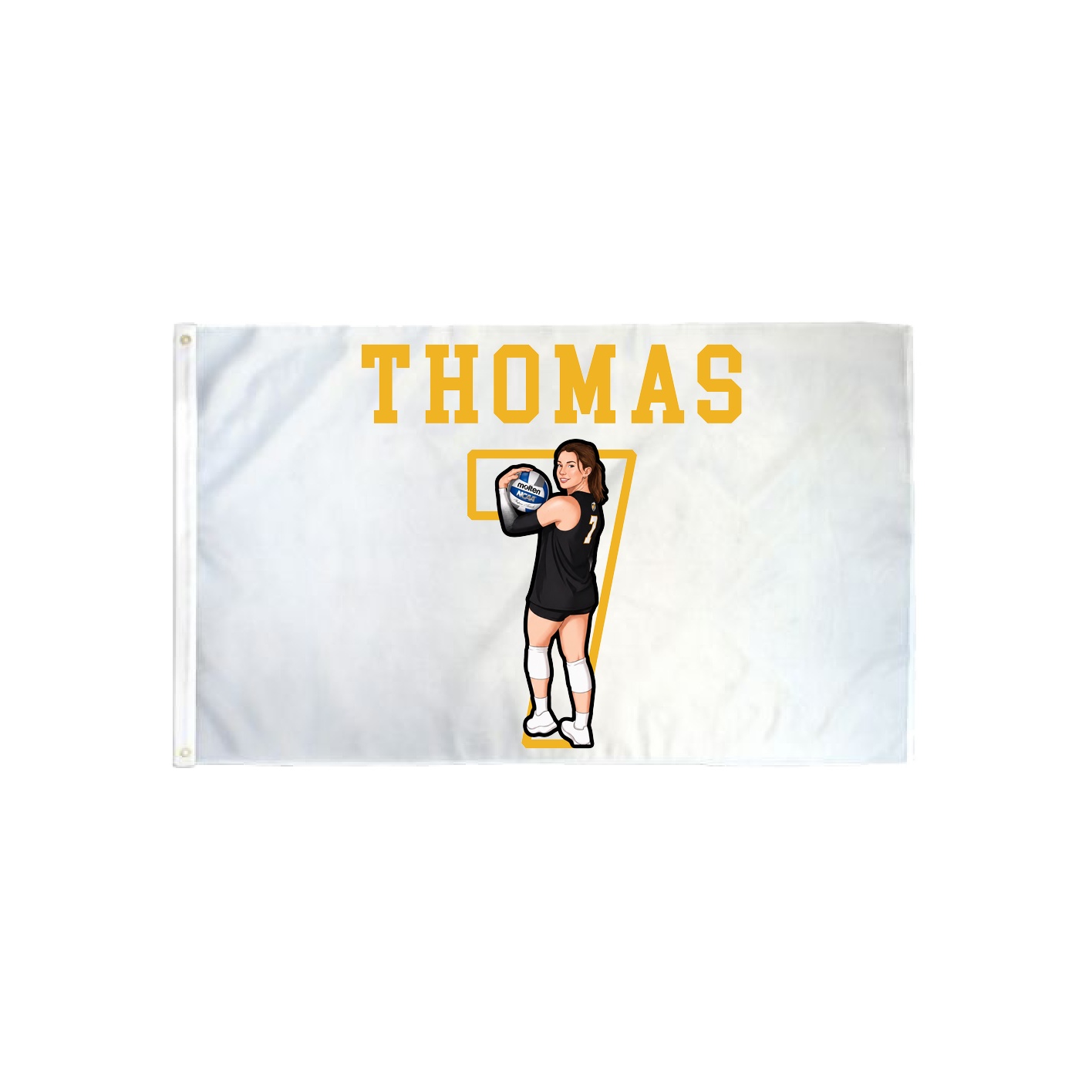 3x5 Flag — Shirsey in Classic