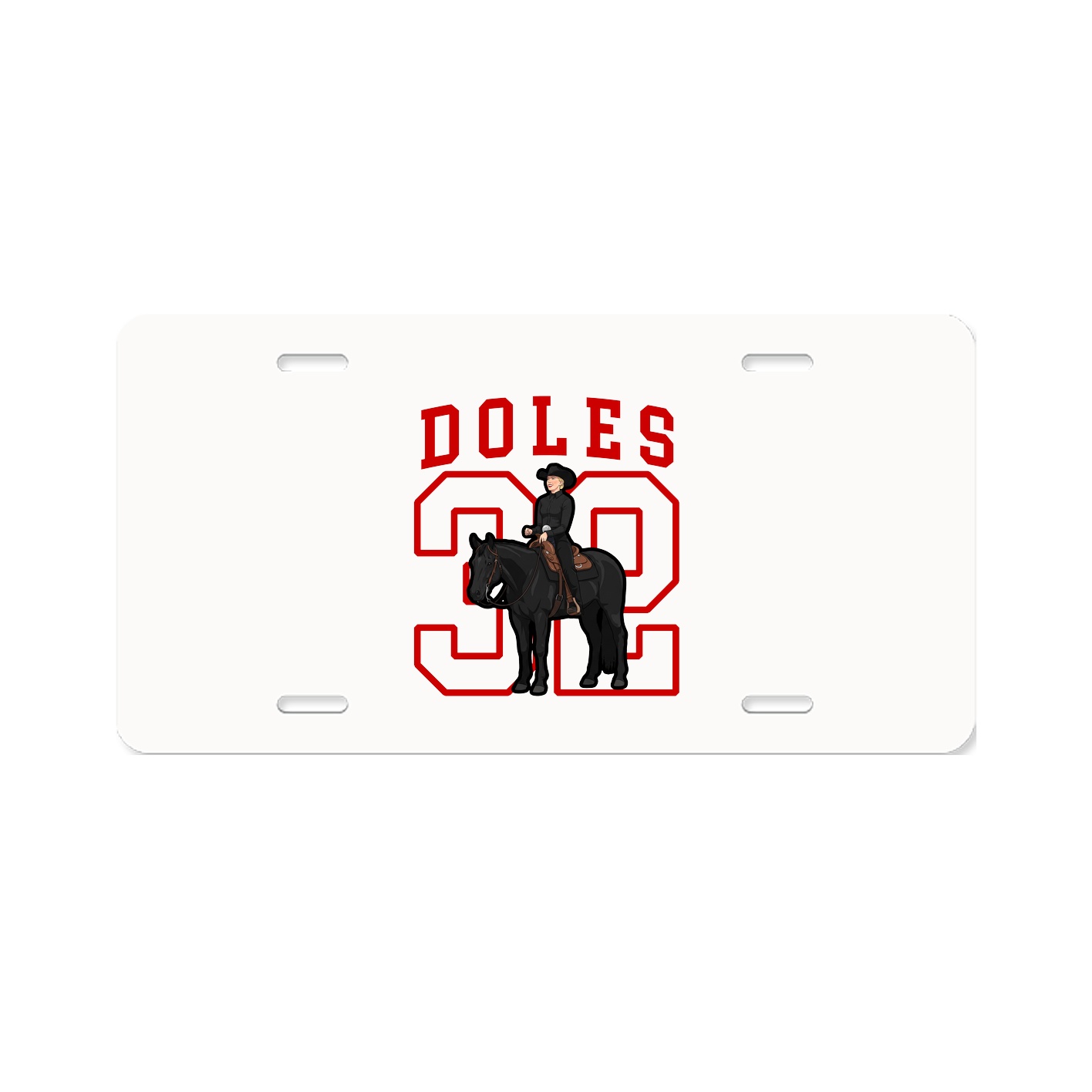 Aluminum License Plate
