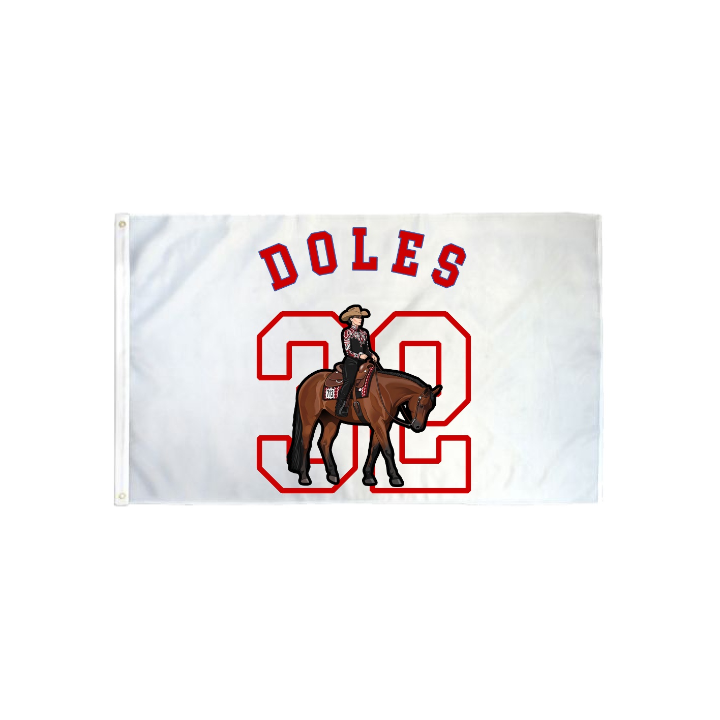 3x5 Flag — Shirsey Arch in Classic