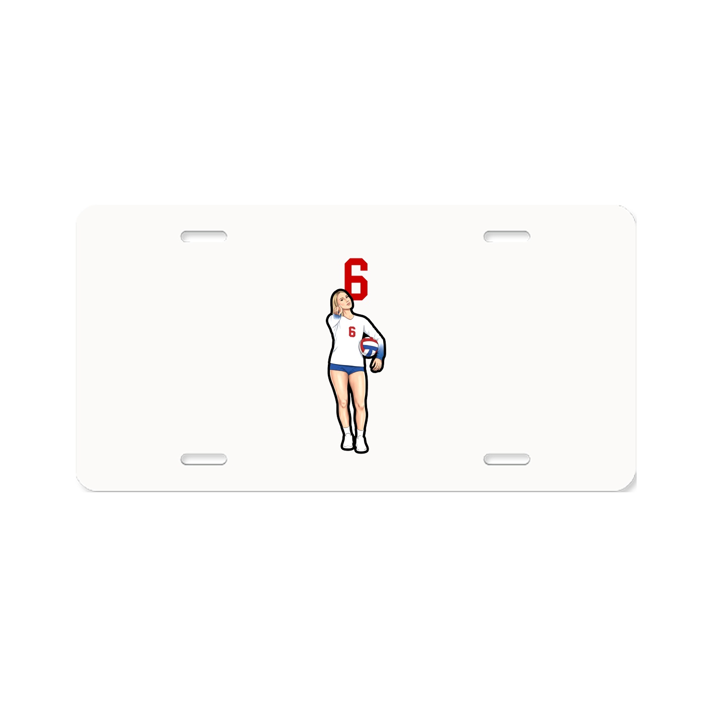 Aluminum License Plate