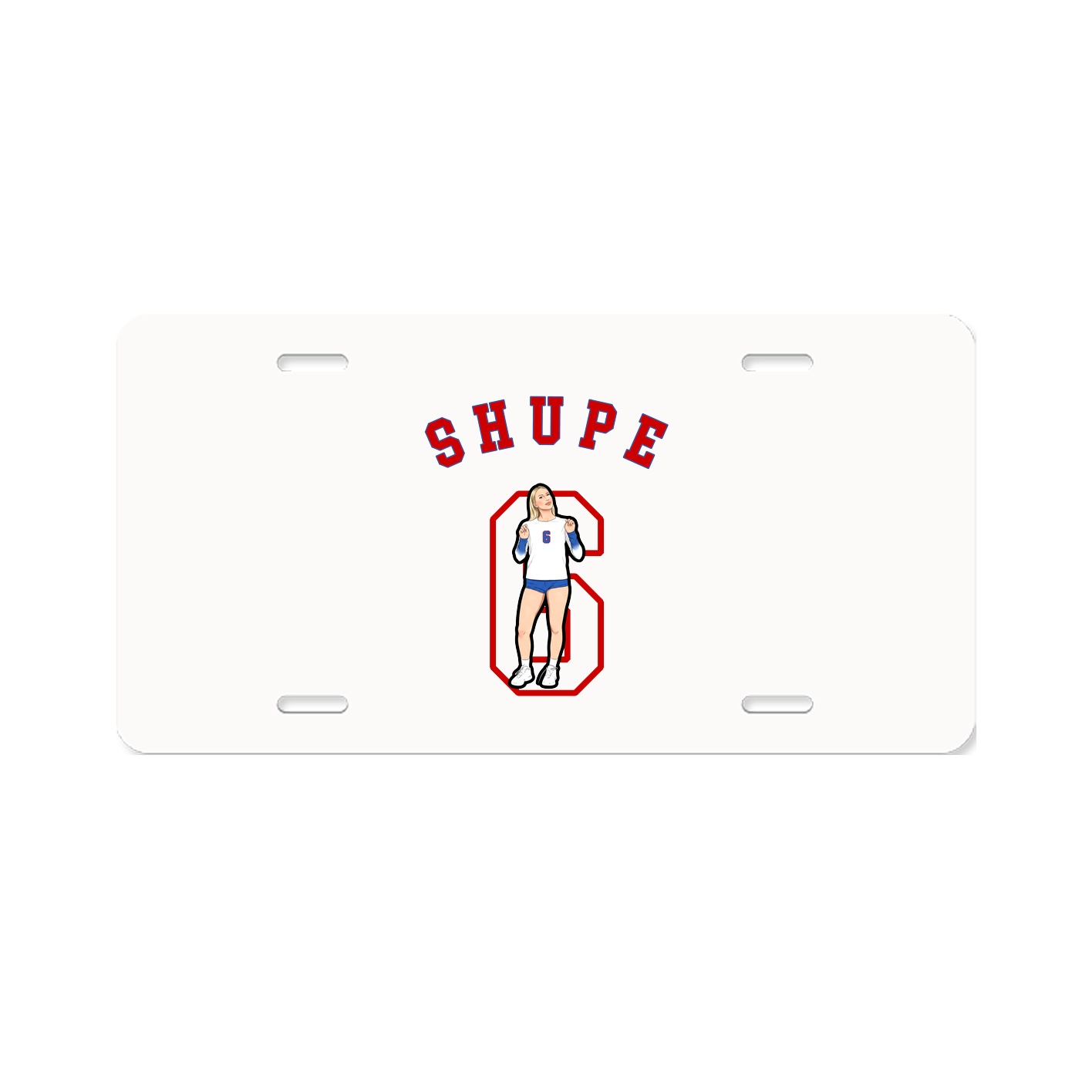 Aluminum License Plate