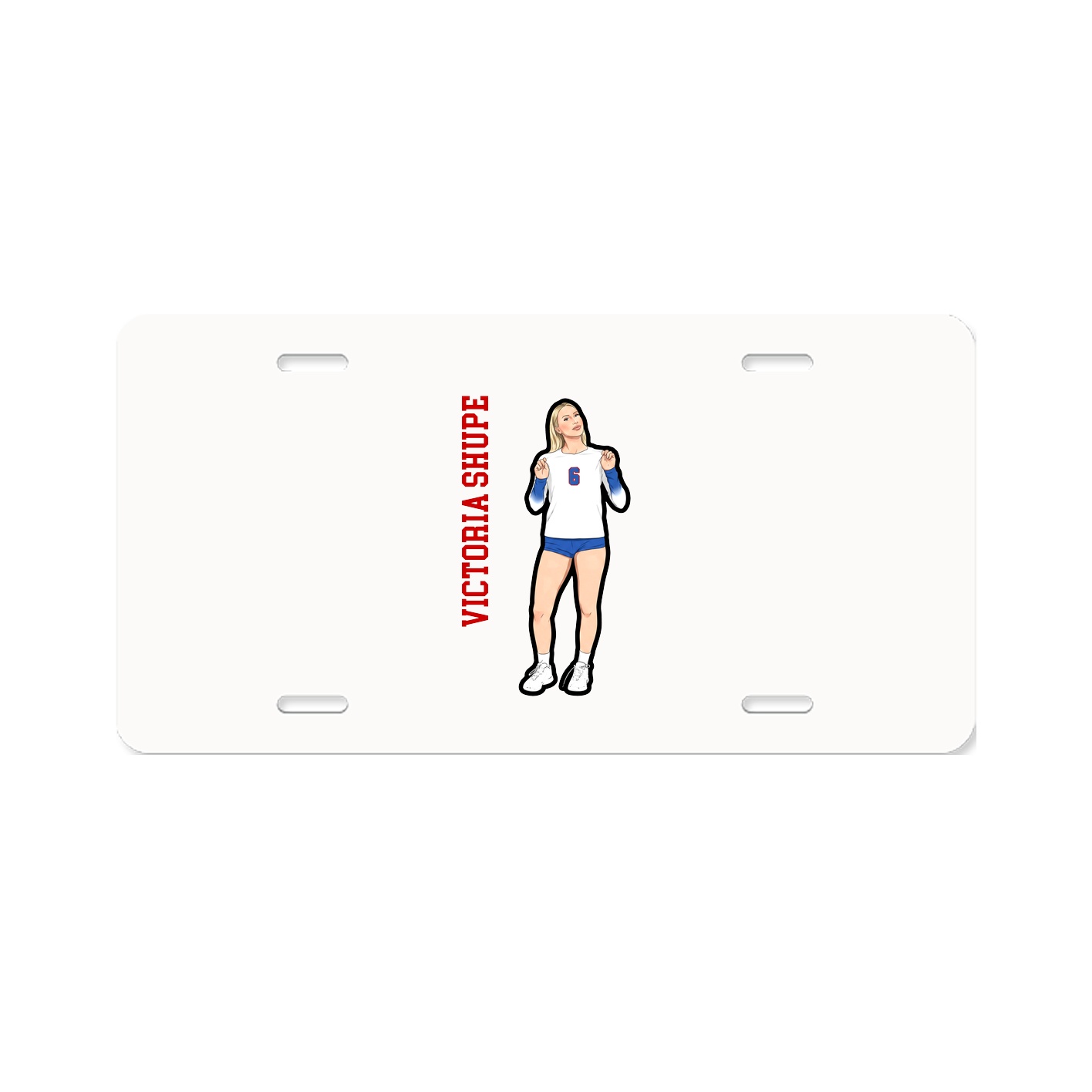 Aluminum License Plate