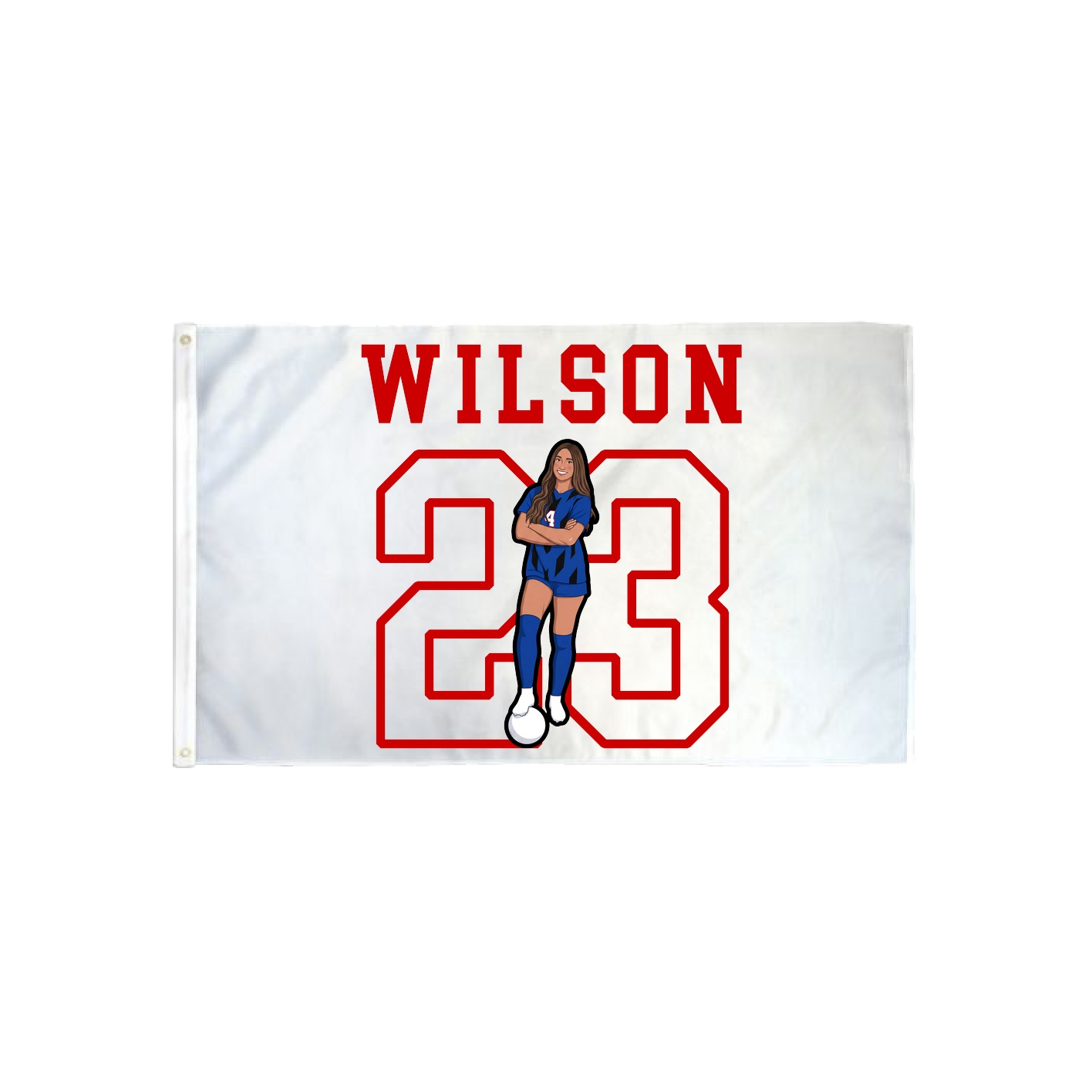 3x5 Flag — Shirsey in Classic